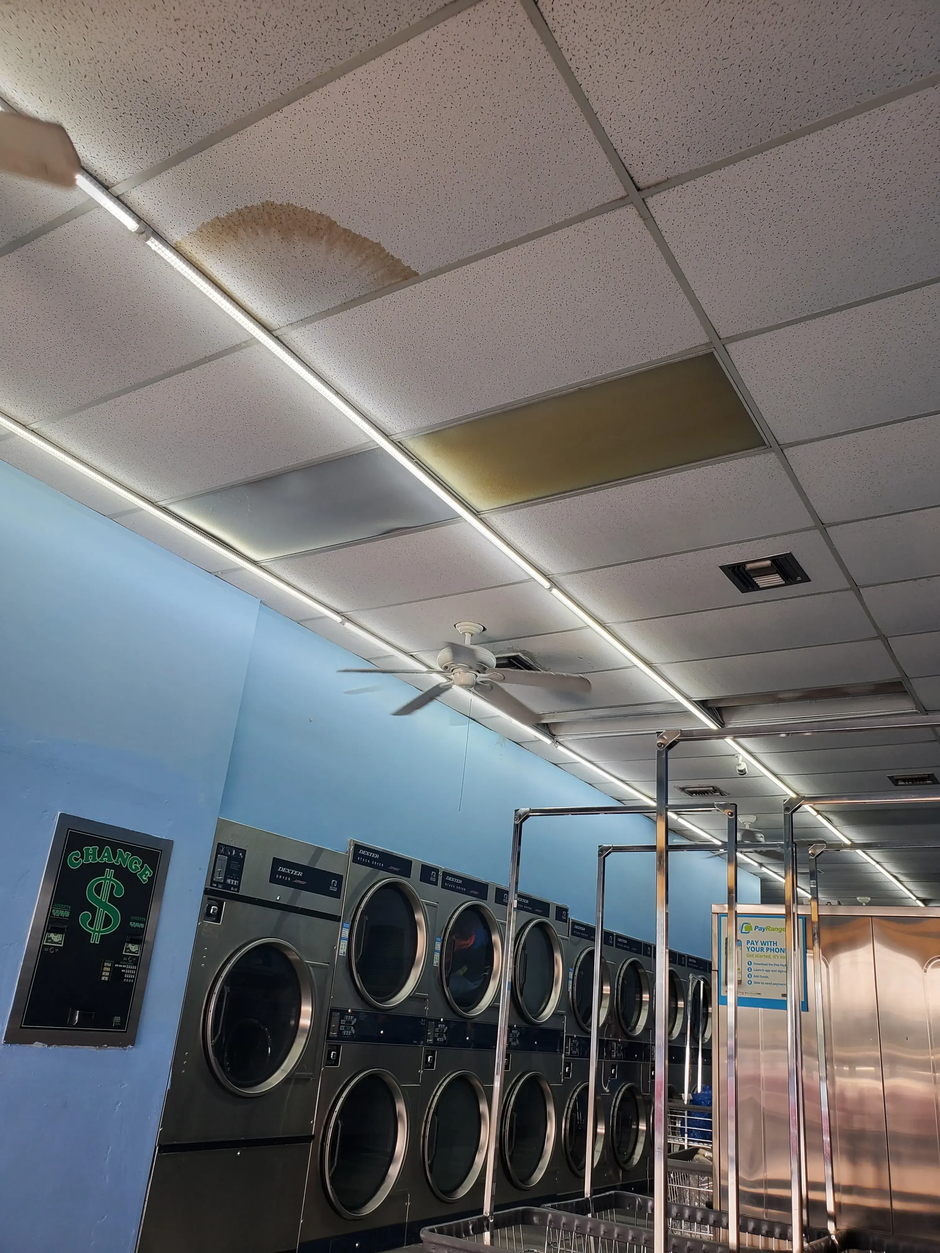 Pine Lake Laundry & Dry Cleaning thumbnail 13