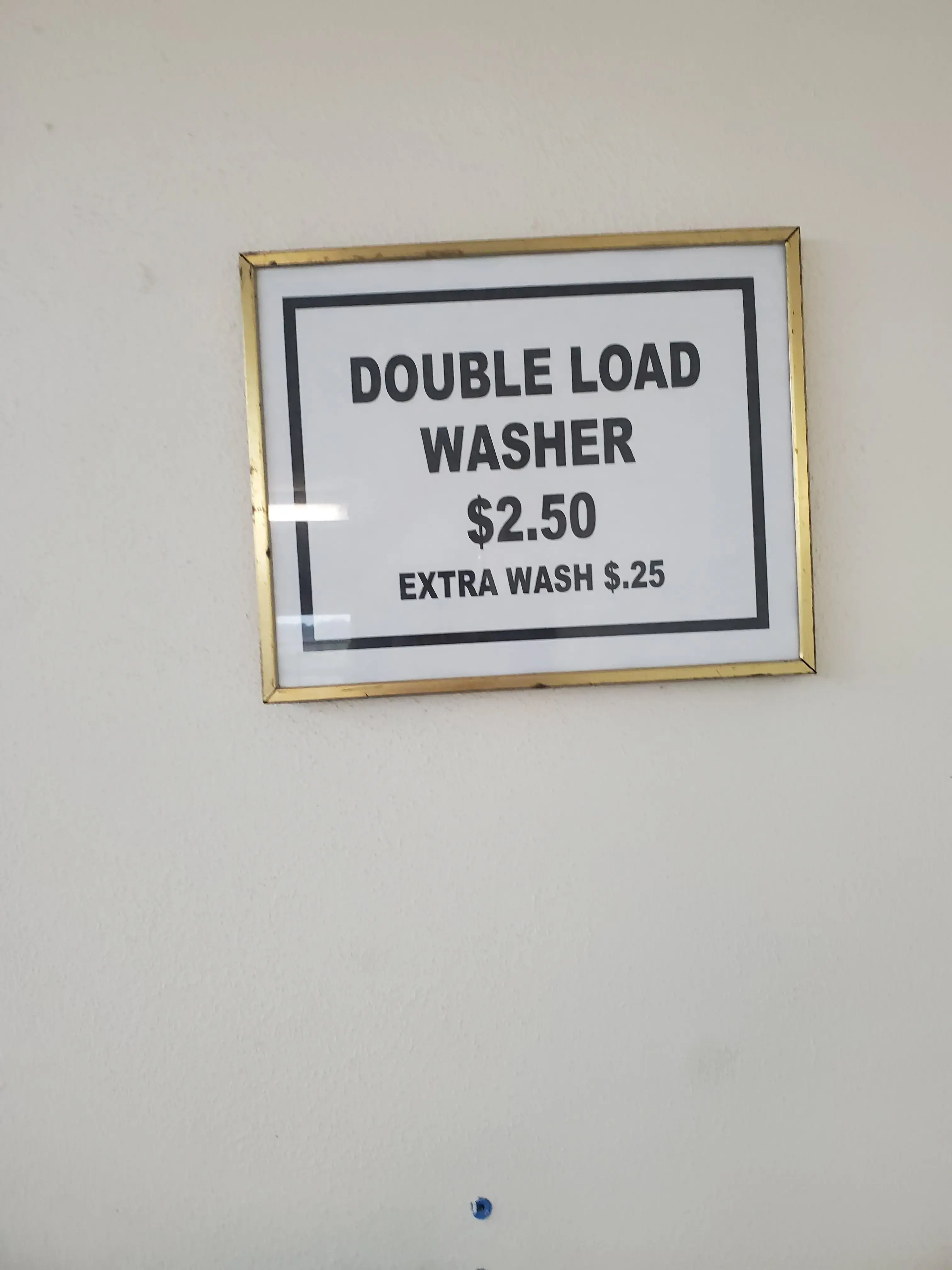Pine Tree Laundromat - Image 6