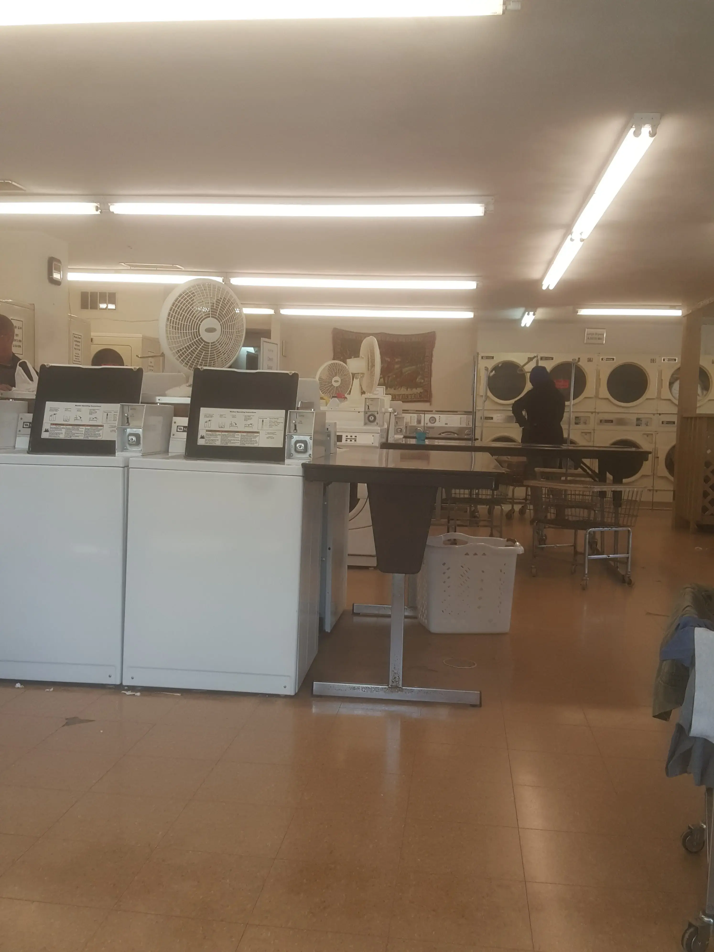 Pine Tree Laundromat - Image 15