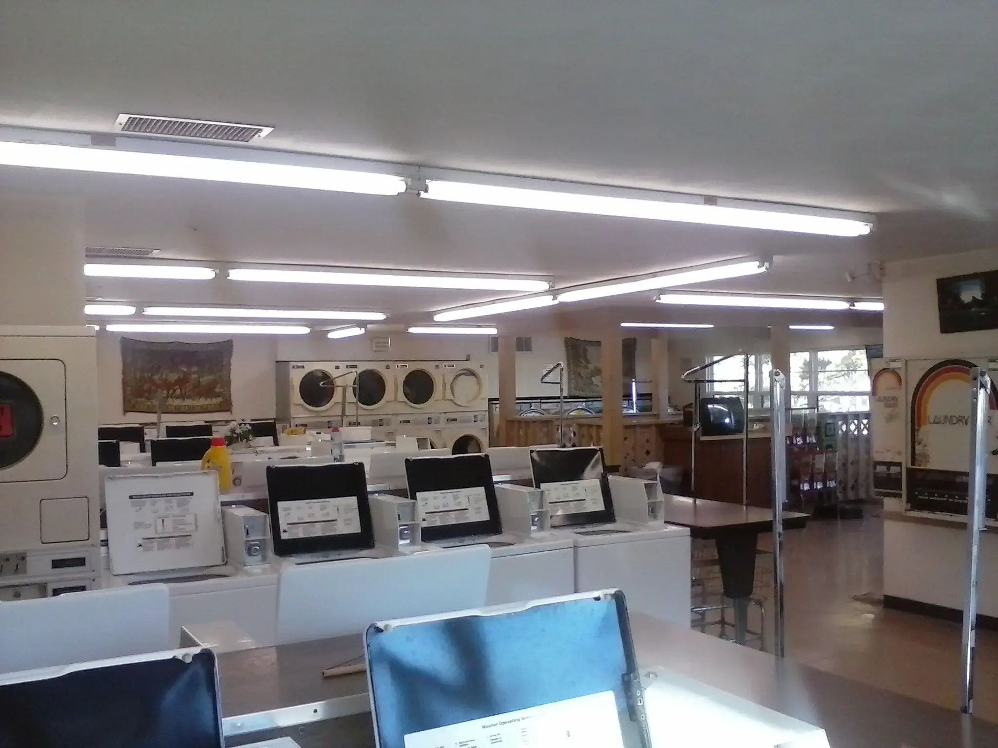 Pine Tree Laundromat - Image 9