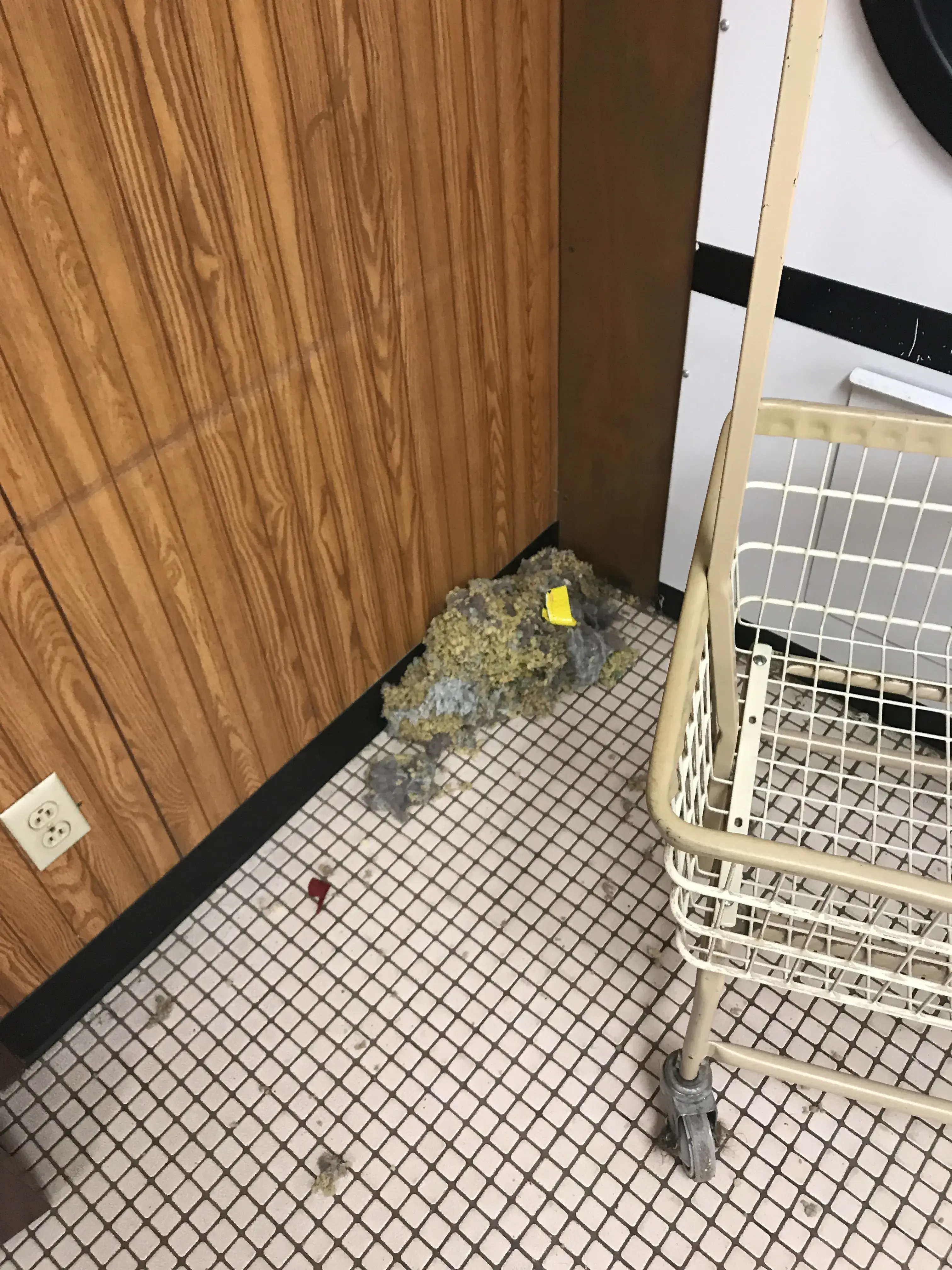 Pioneer Clothing Care - Image 3