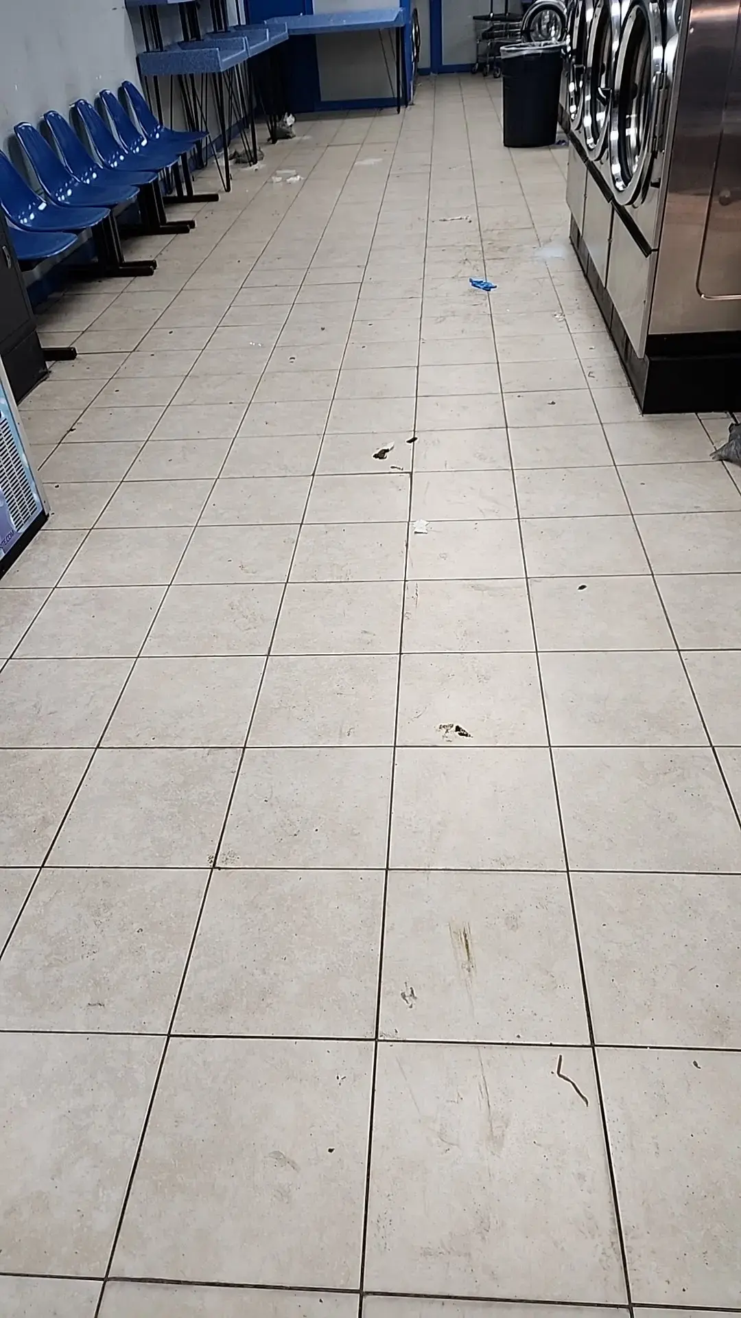 Plant City Laundry thumbnail 3