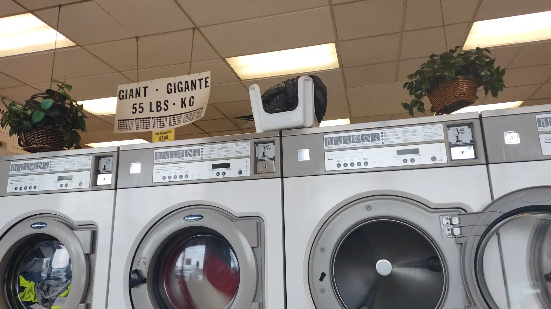 Playland Coin Laundry location
