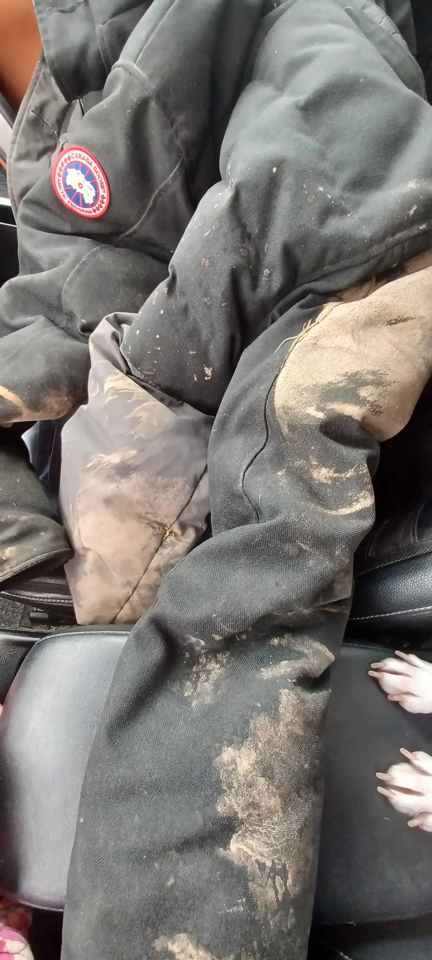 Plaza Cleaners thumbnail 2