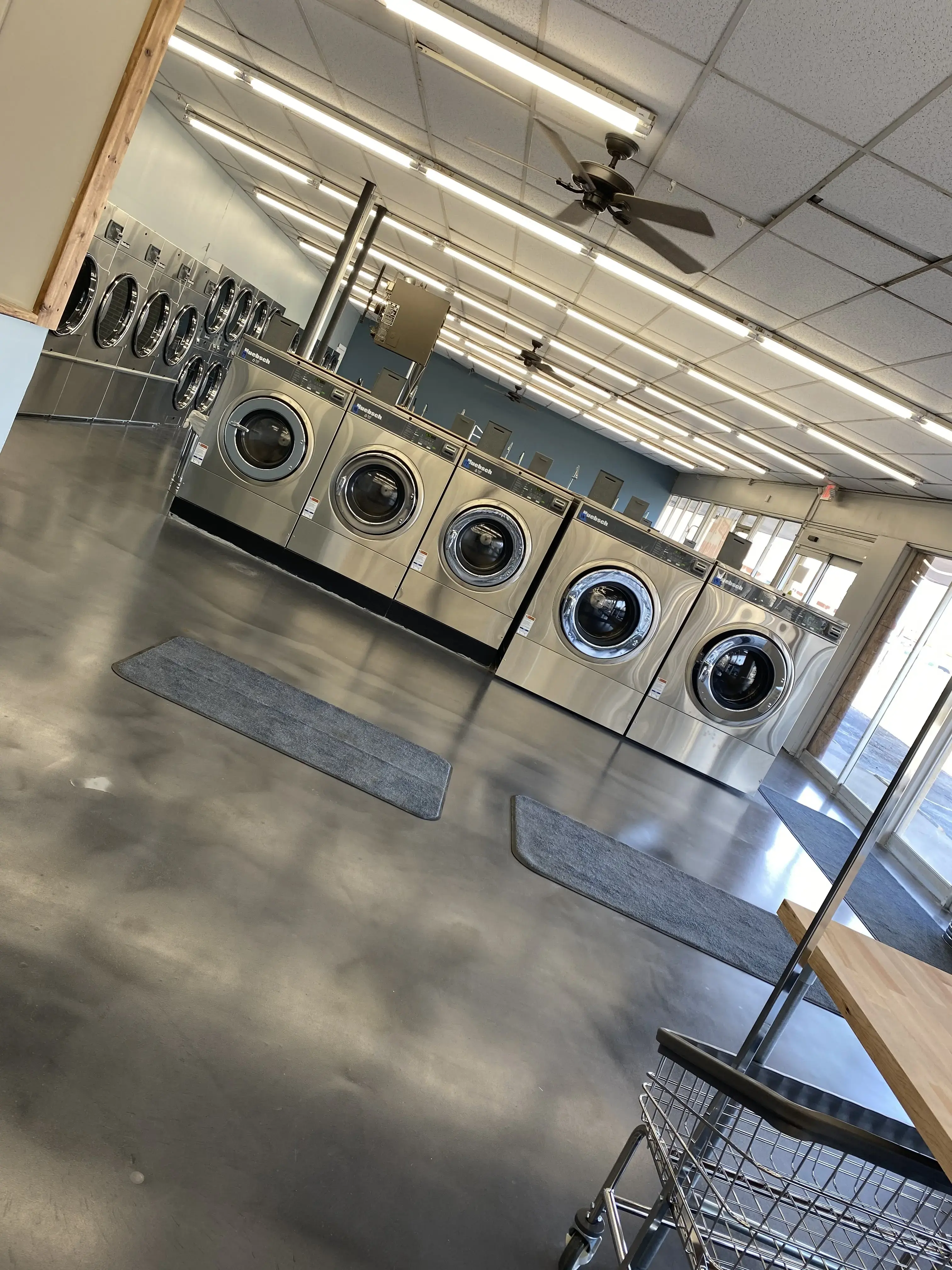 Point Laundry thumbnail 14