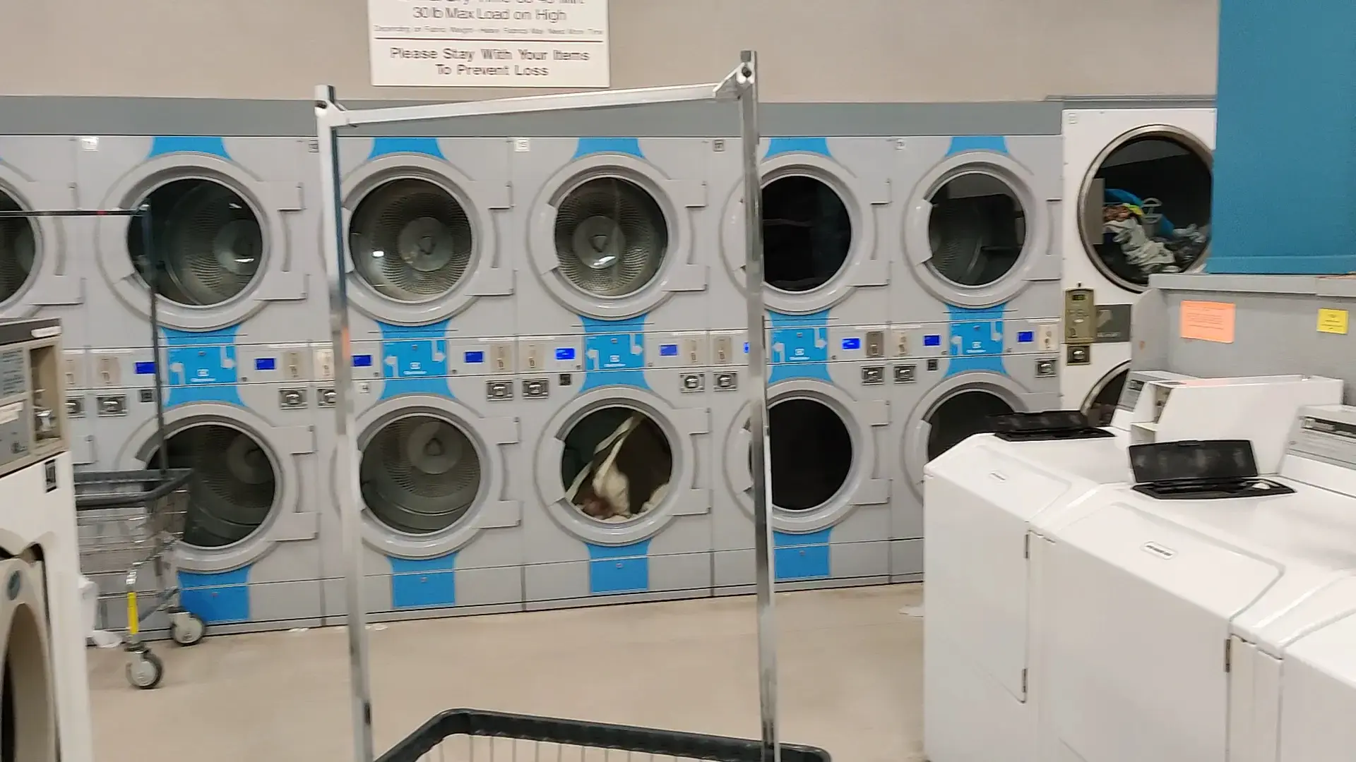 Point Loma Coin Laundry thumbnail 2