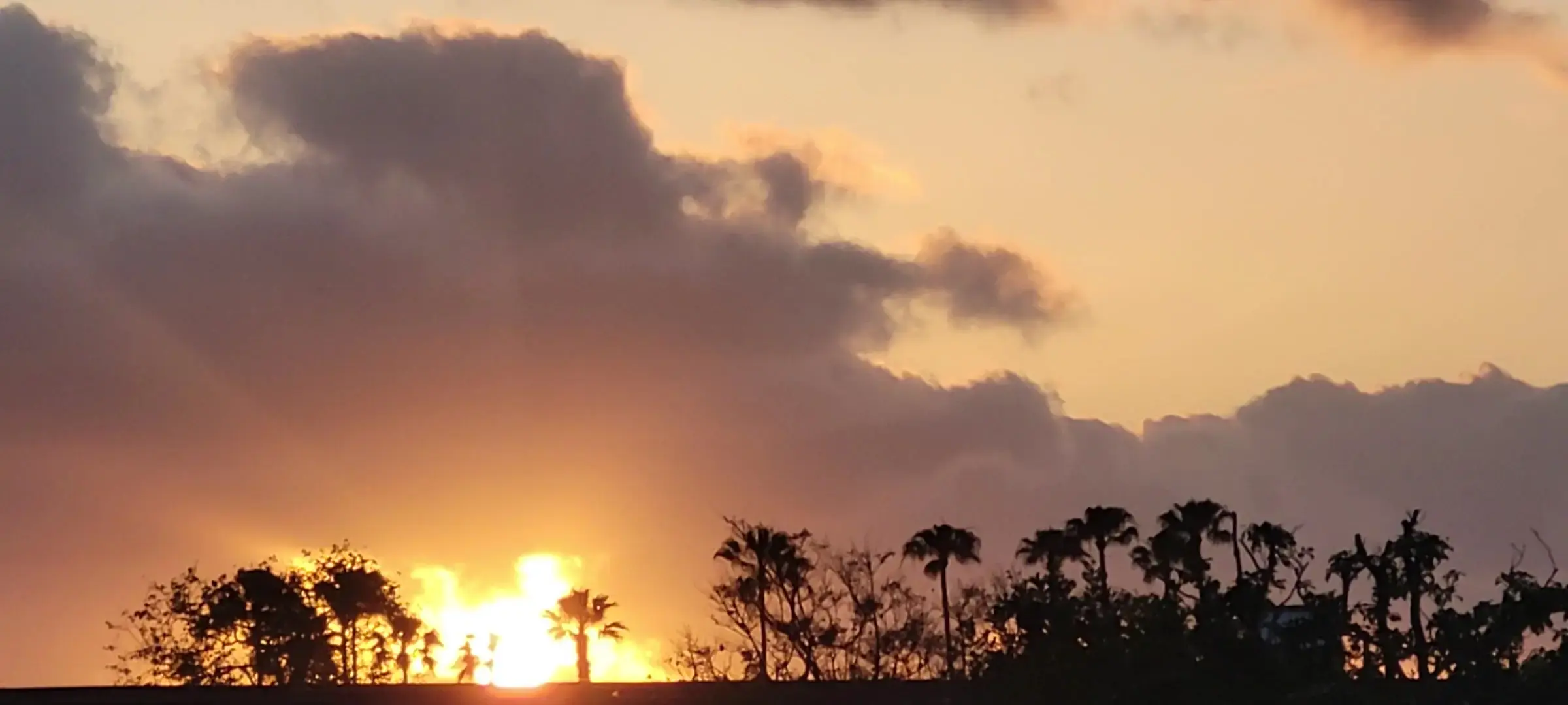 Point Loma Coin Laundry - Image 18