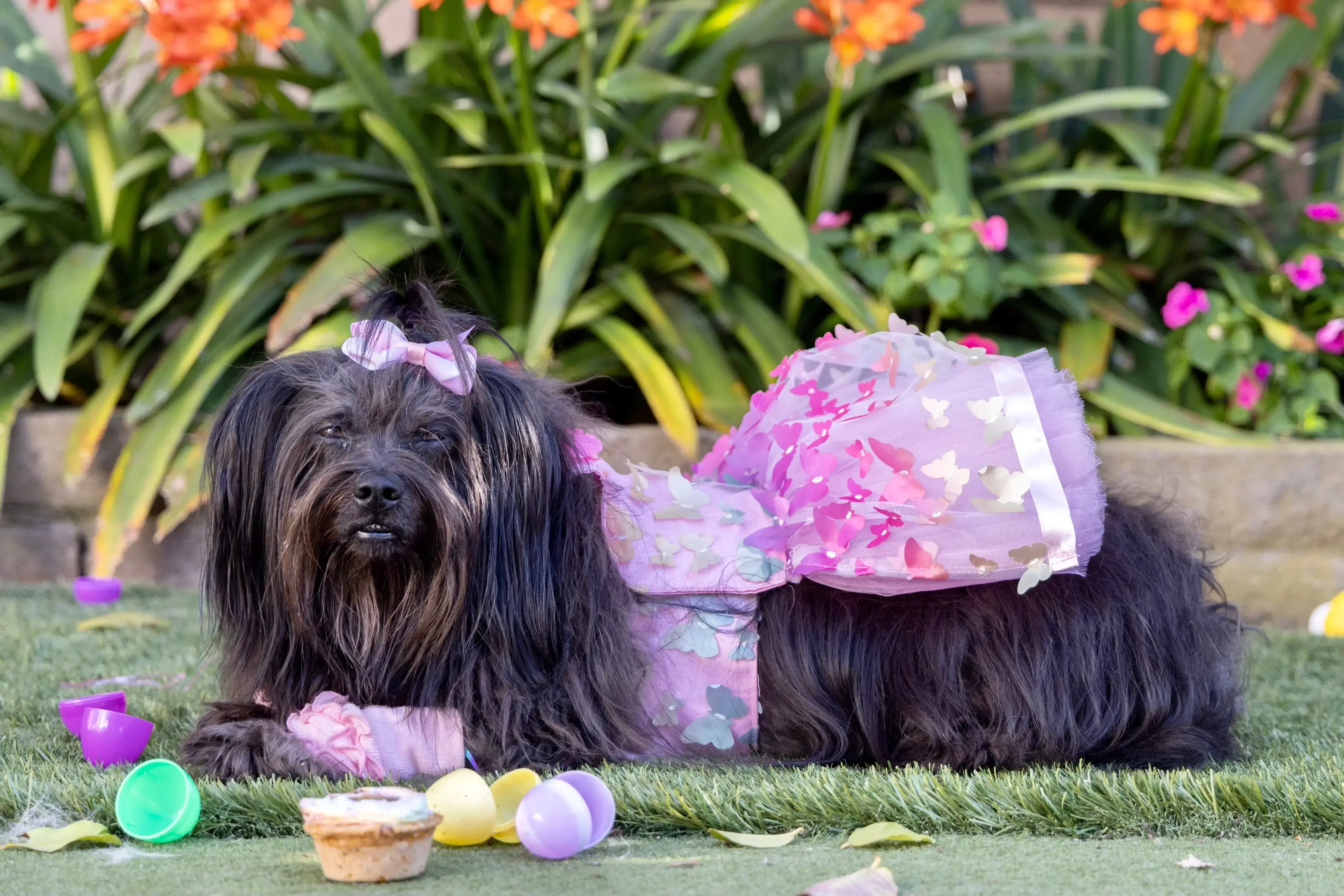 Polo Cleaners - Image 12