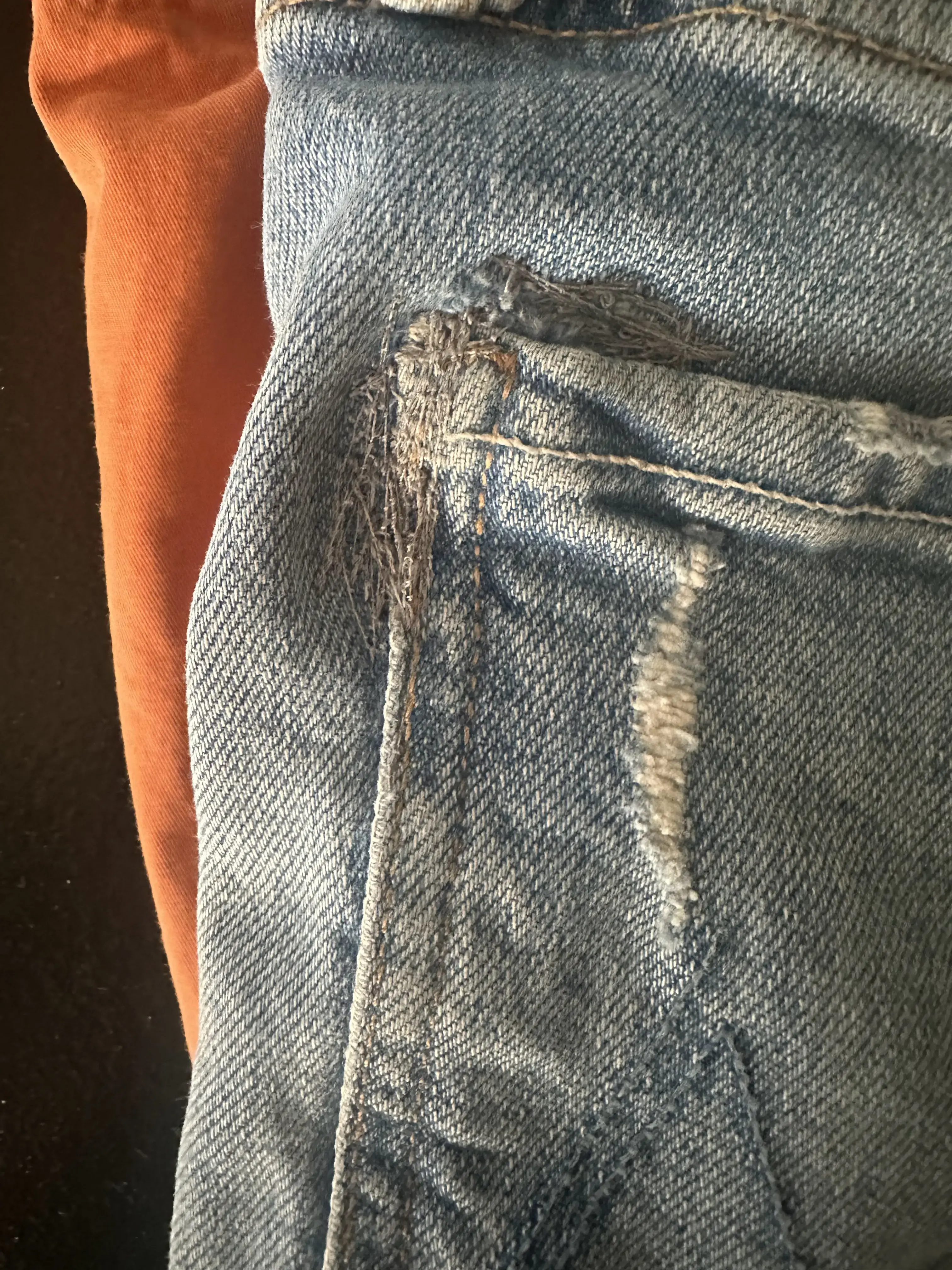 Press and Tailor thumbnail 6