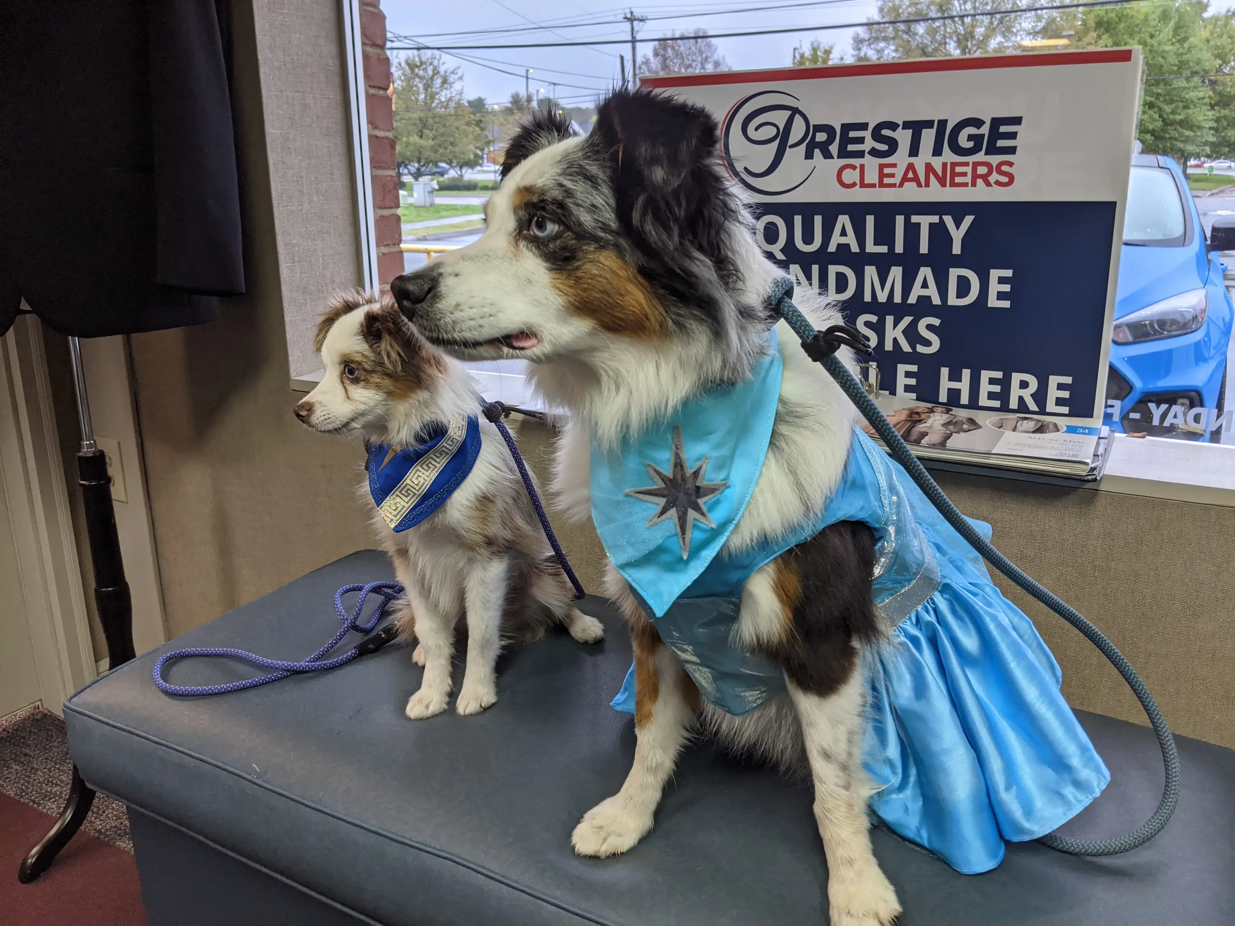 Prestige Cleaners Inc thumbnail 10