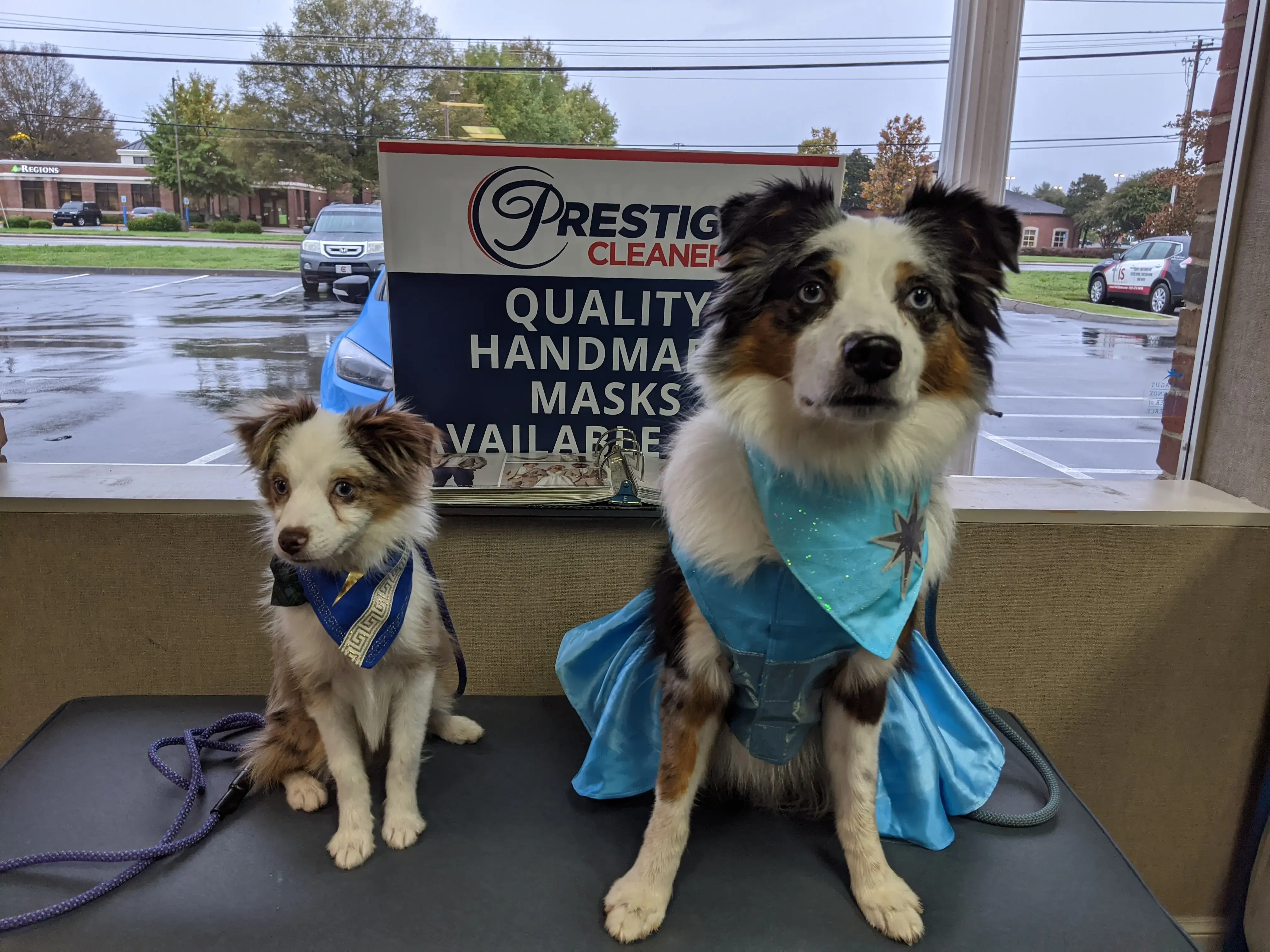 Prestige Cleaners Inc thumbnail 2