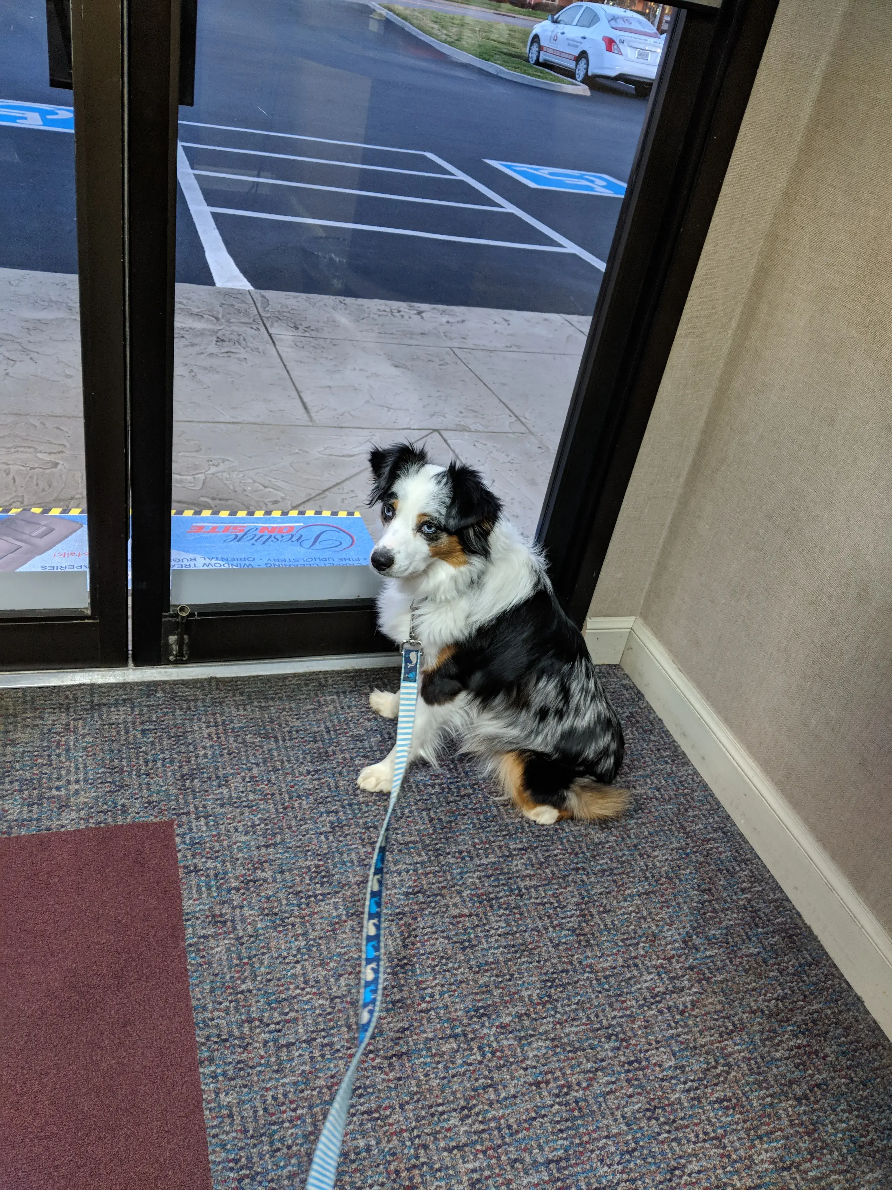 Prestige Cleaners Inc - Image 11