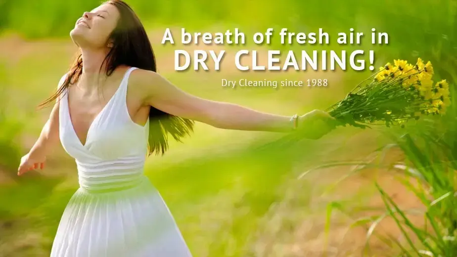 Prestige Cleaning Center thumbnail 1