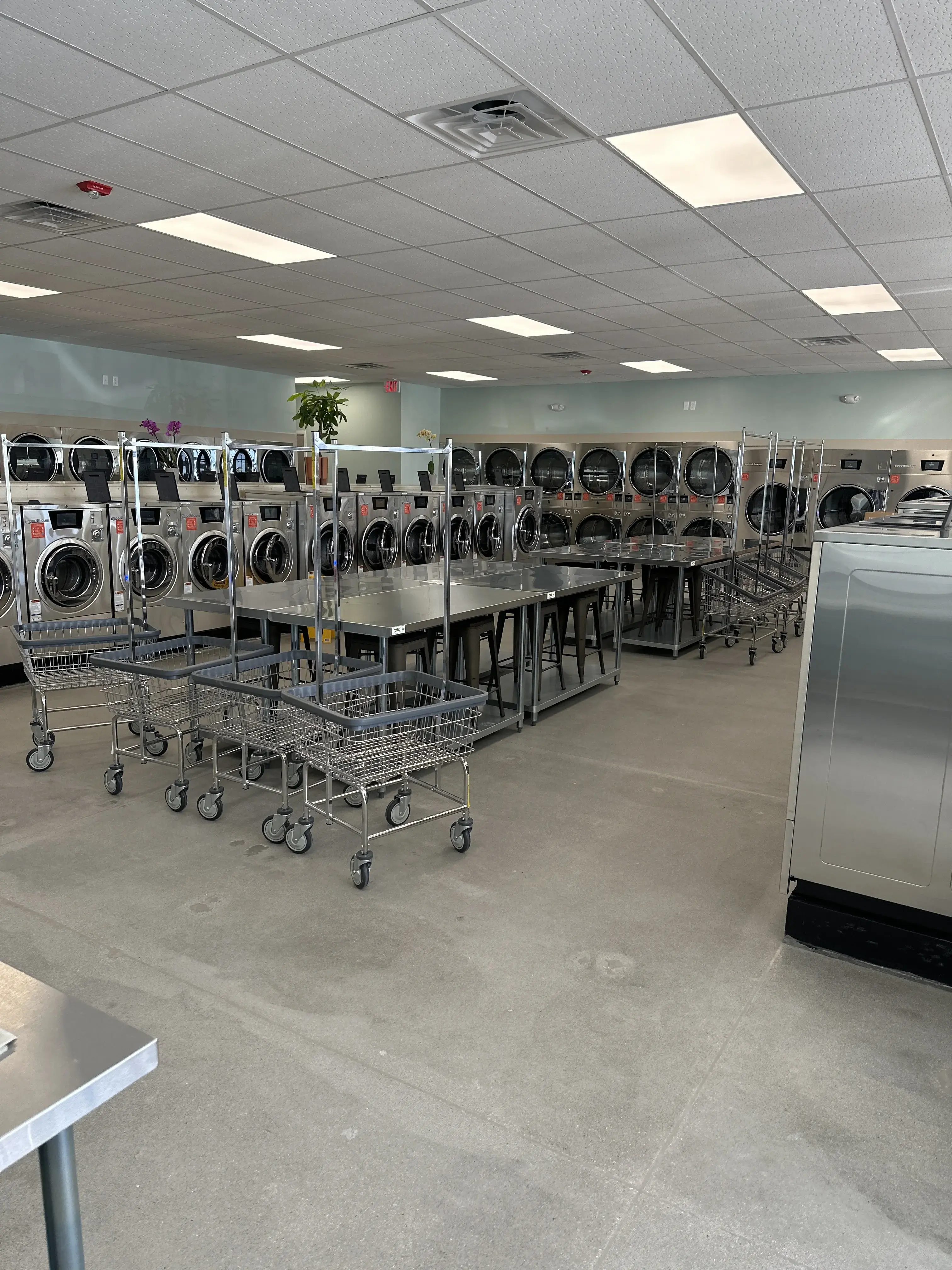 Princess Laundry - Image 5