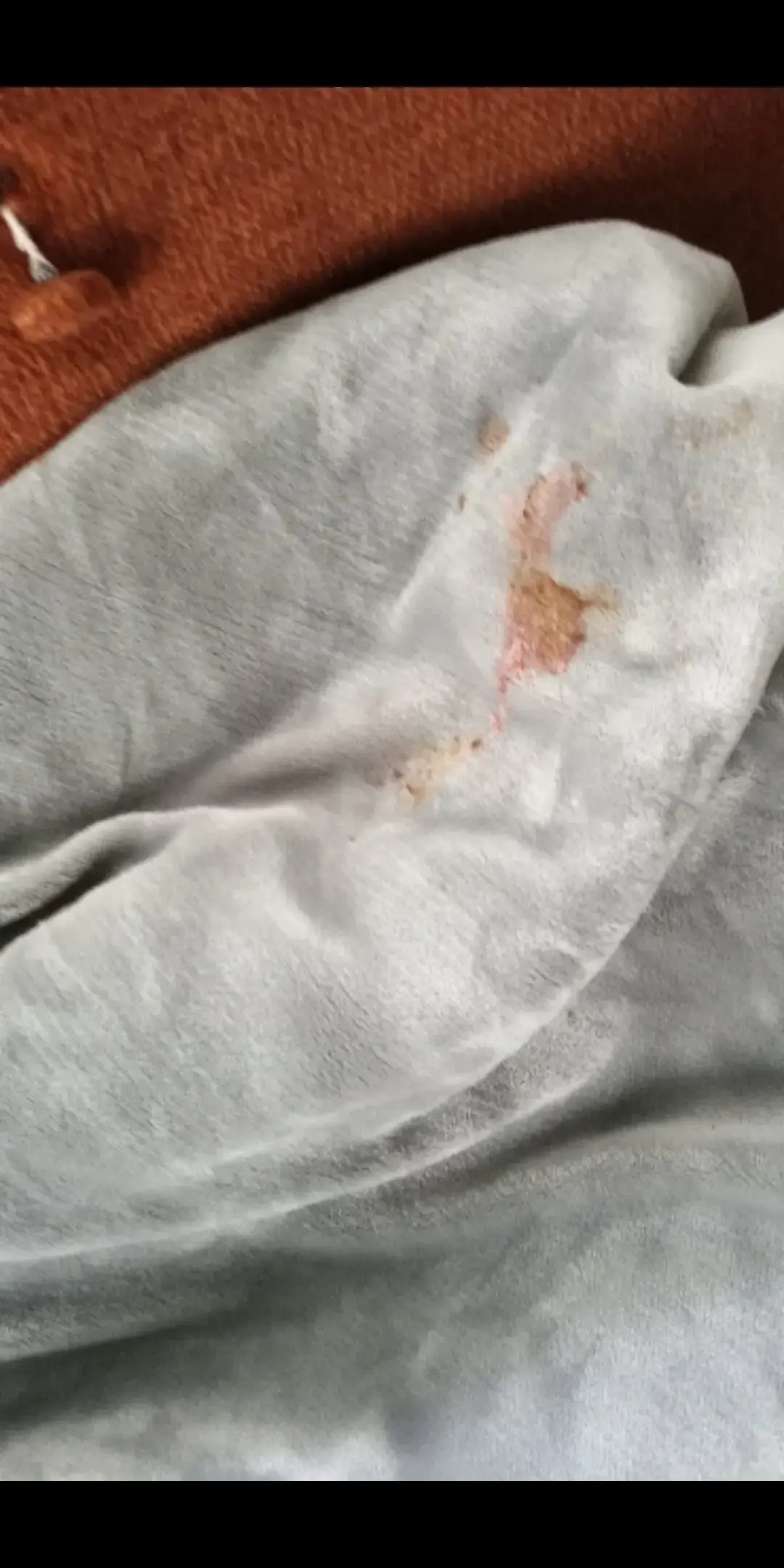Pro Clean Cleaners - Image 12