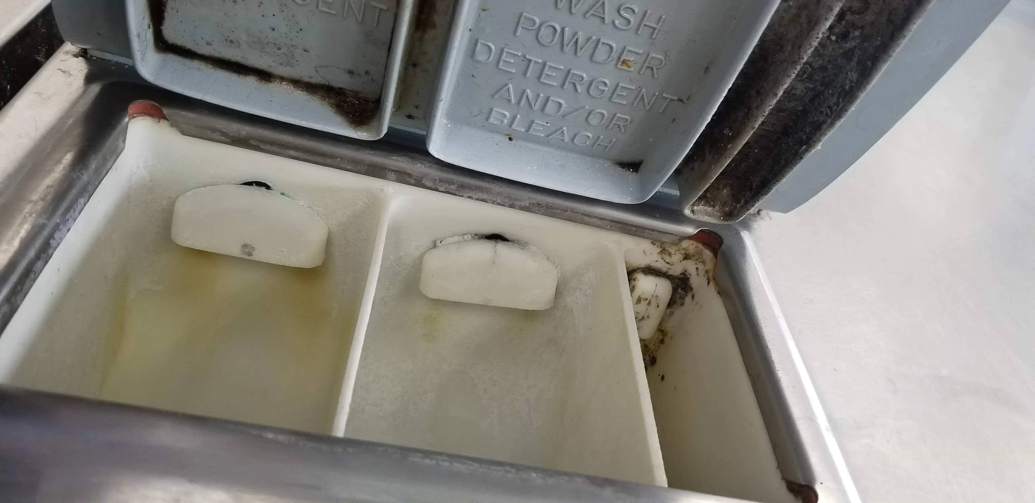 Pro Clean Dry Cleaning & Coin Laundry thumbnail 15