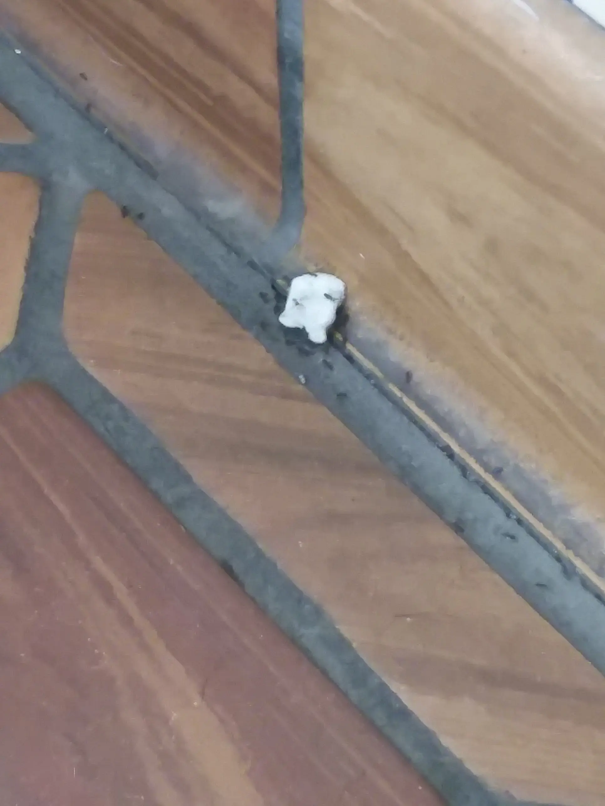 Pro Clean - Image 17