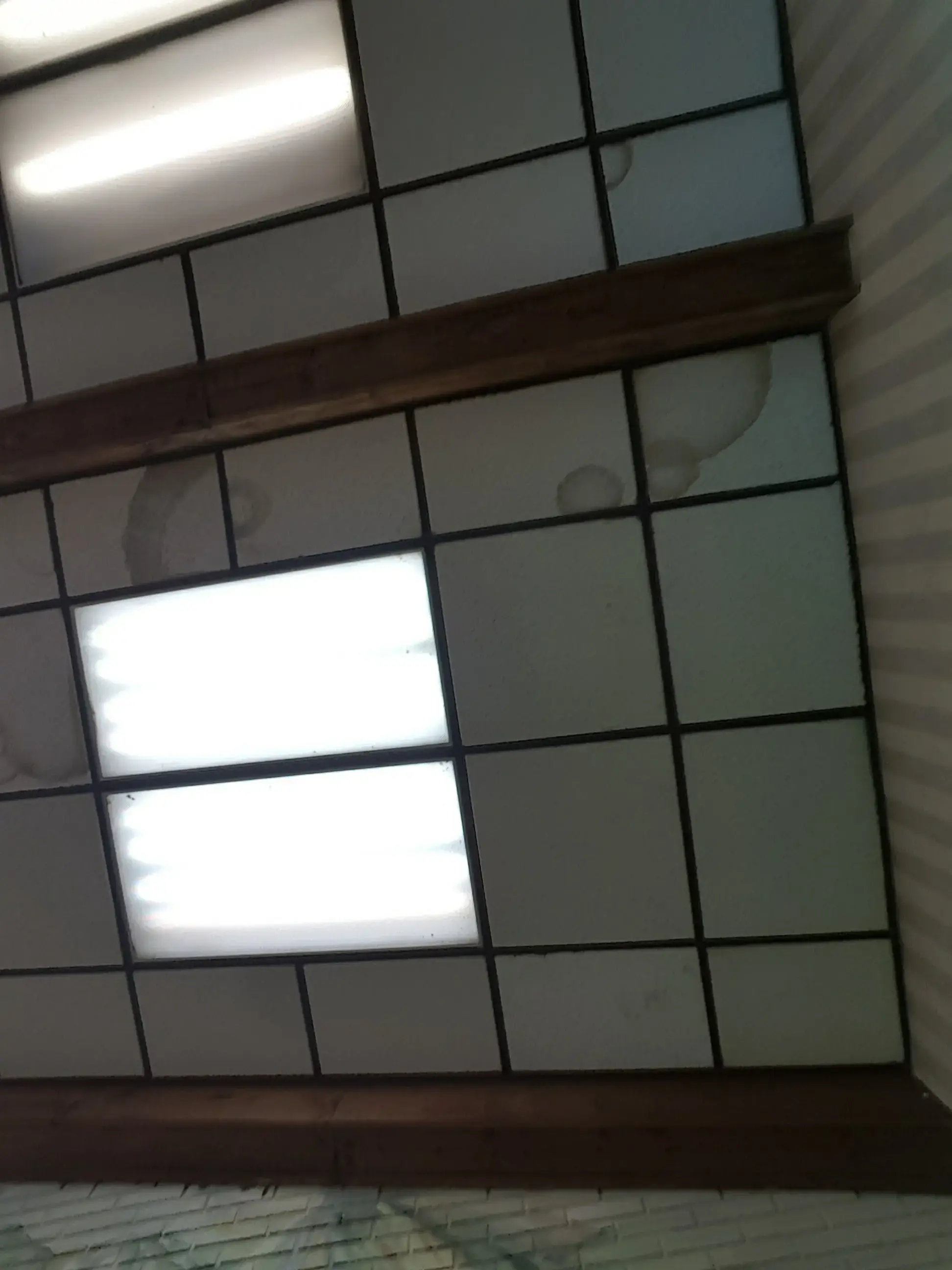 Pro Clean thumbnail 18