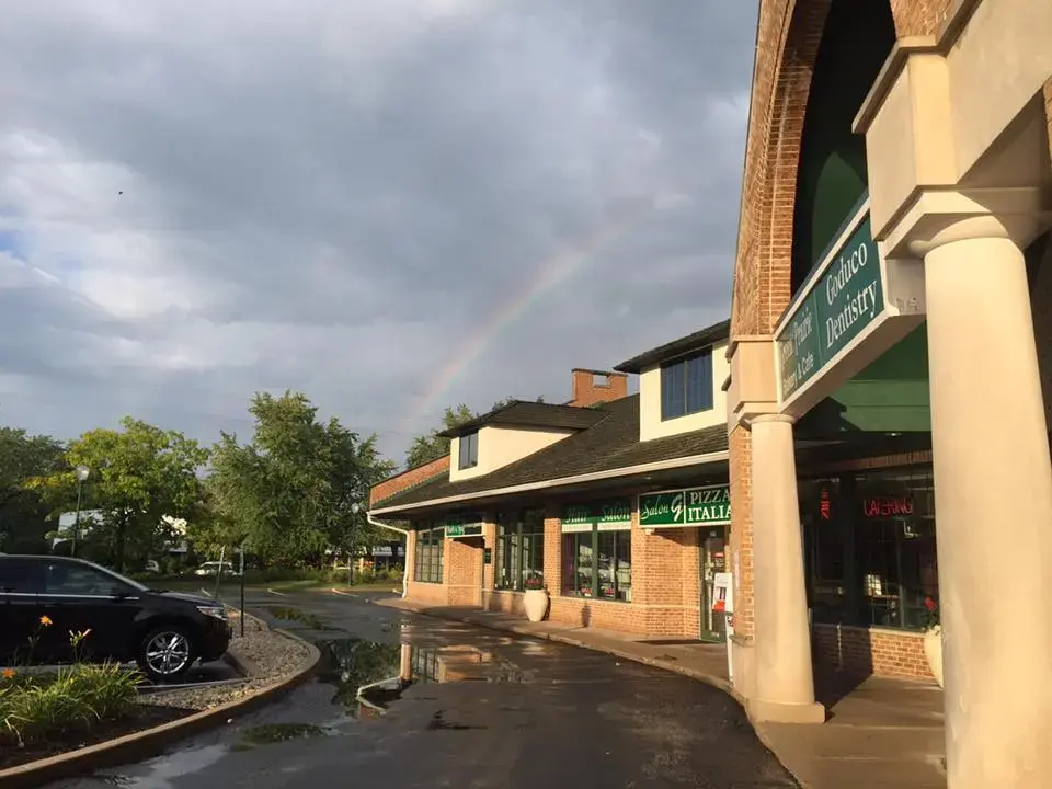 Professional Dry Cleaners - Image 1