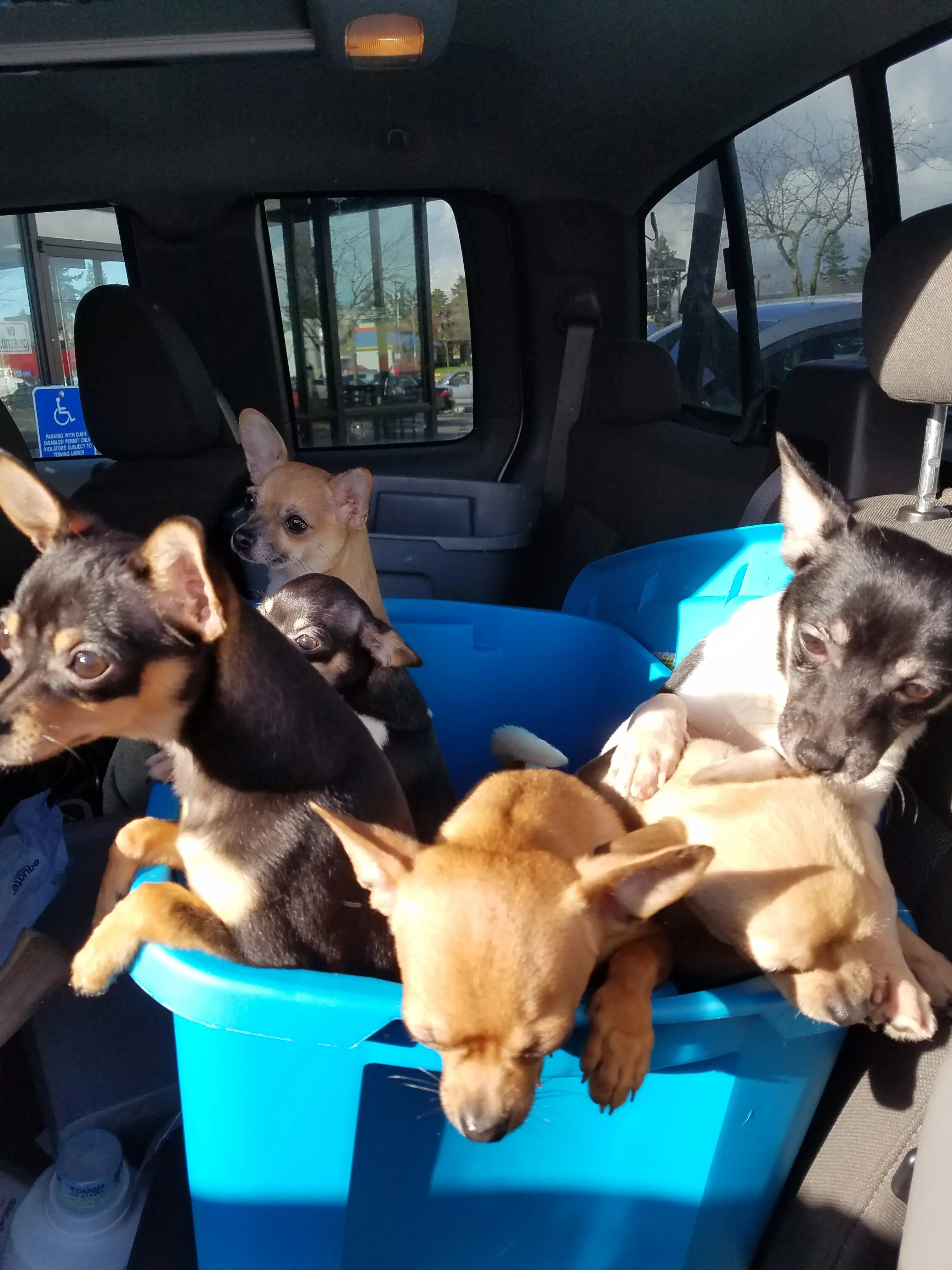 PT Laundry - Image 8