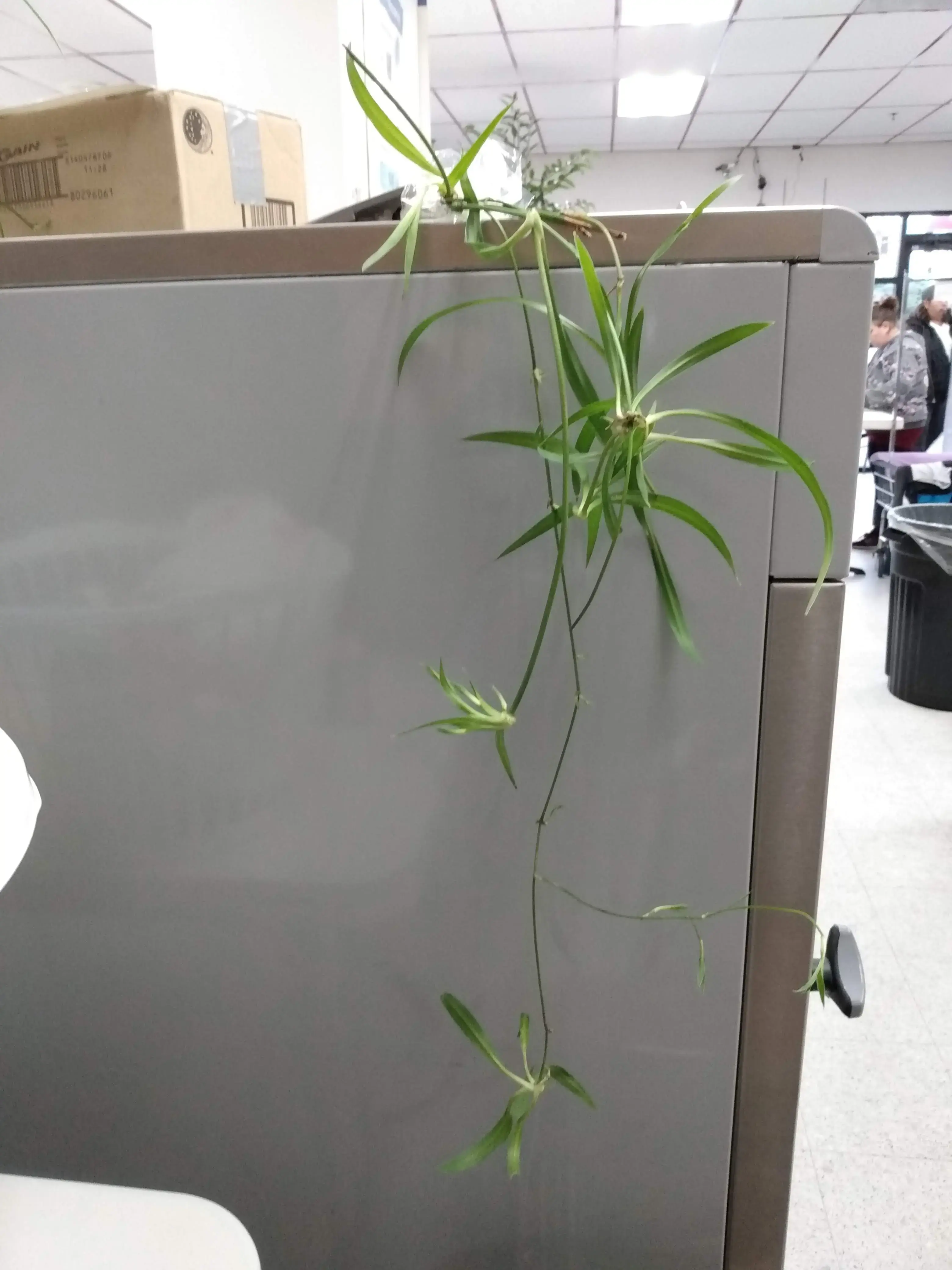 PT Laundry - Image 11