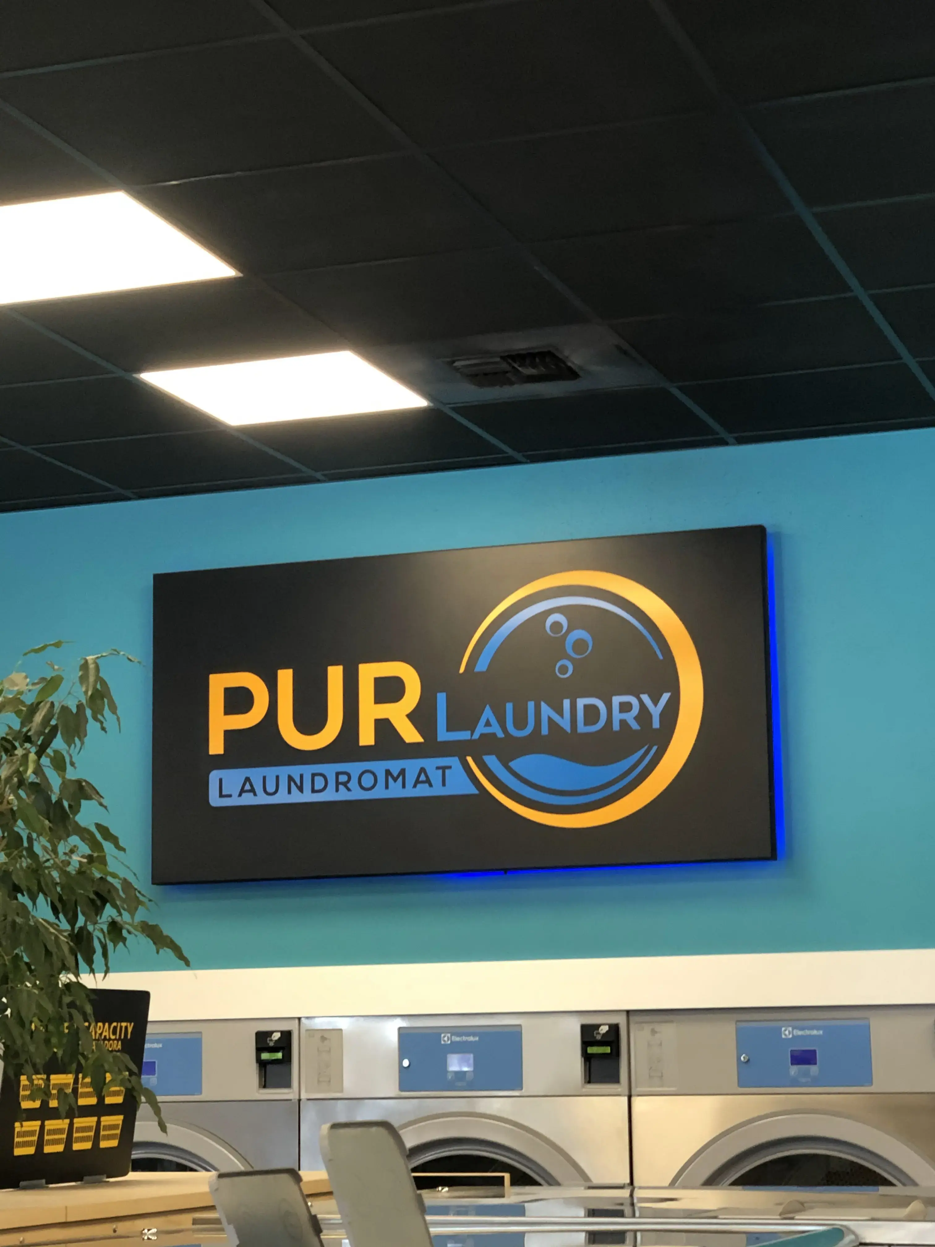 PUR Laundry Laundromat thumbnail 9