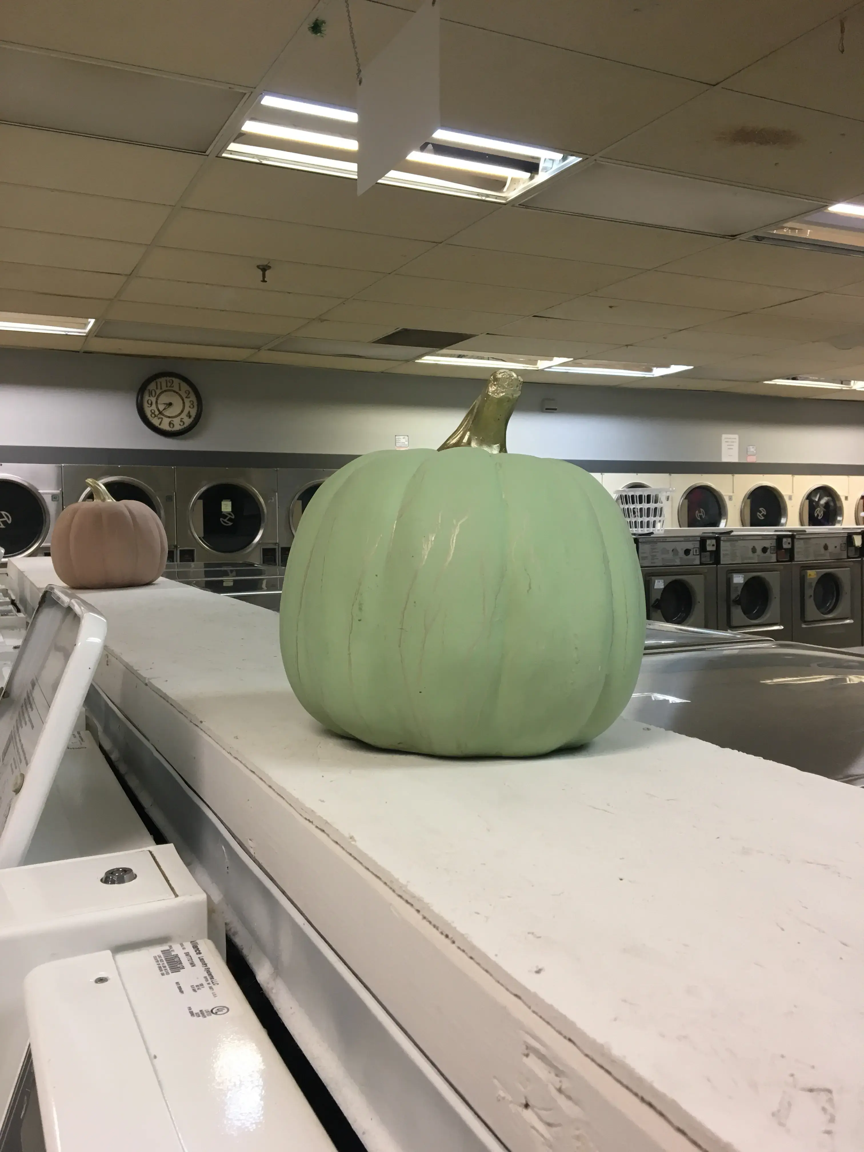 Q&A Laundry - Image 17