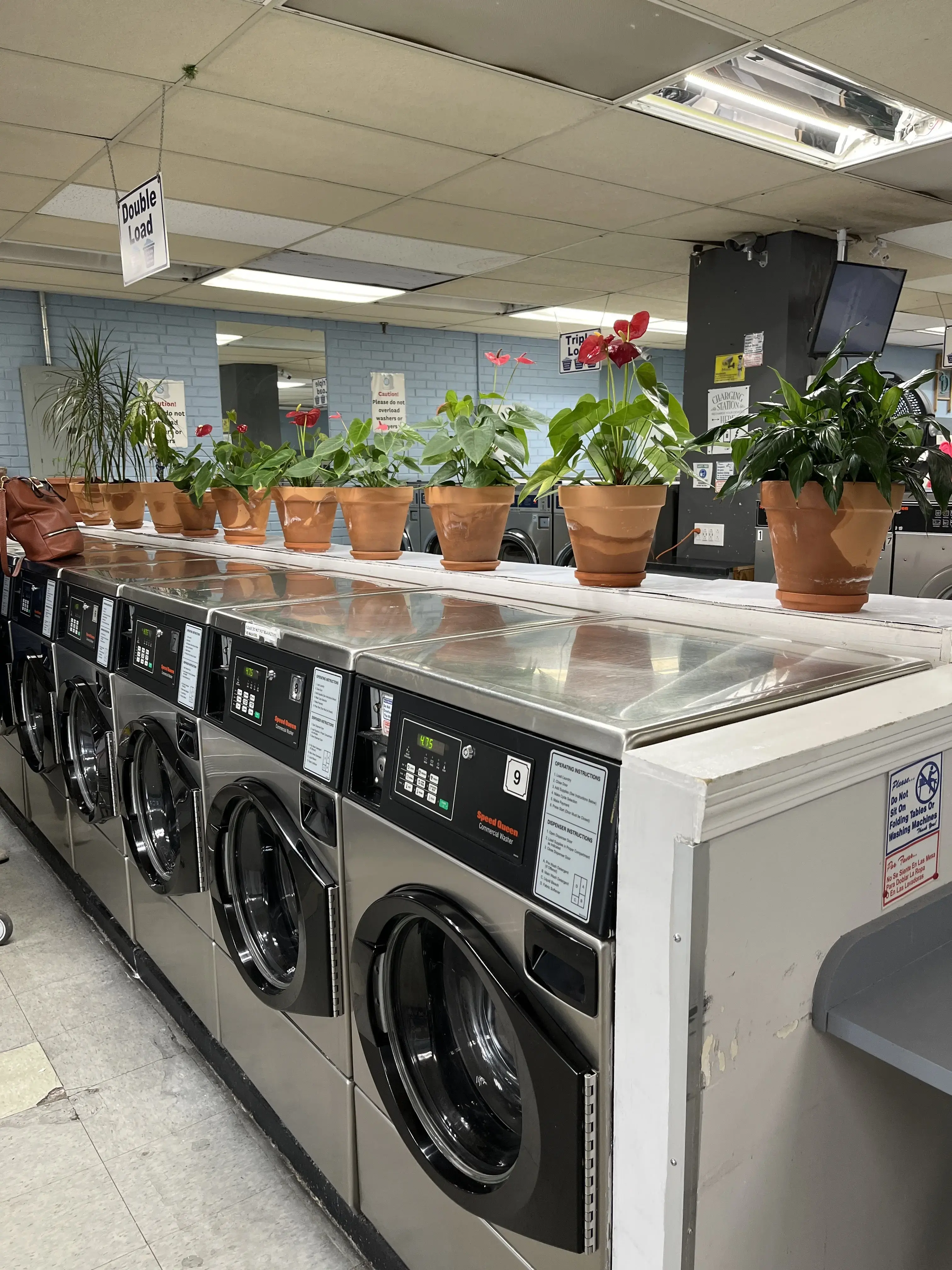 Q&A Laundry thumbnail 2