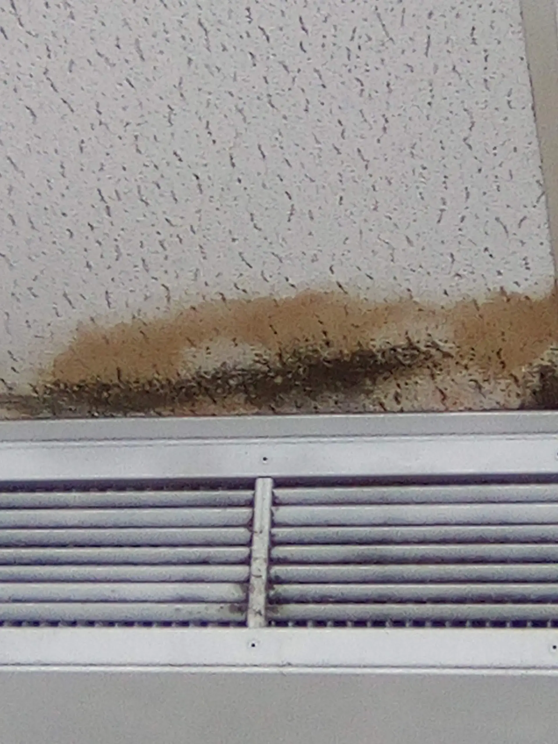 Queen City Laundry - Image 19