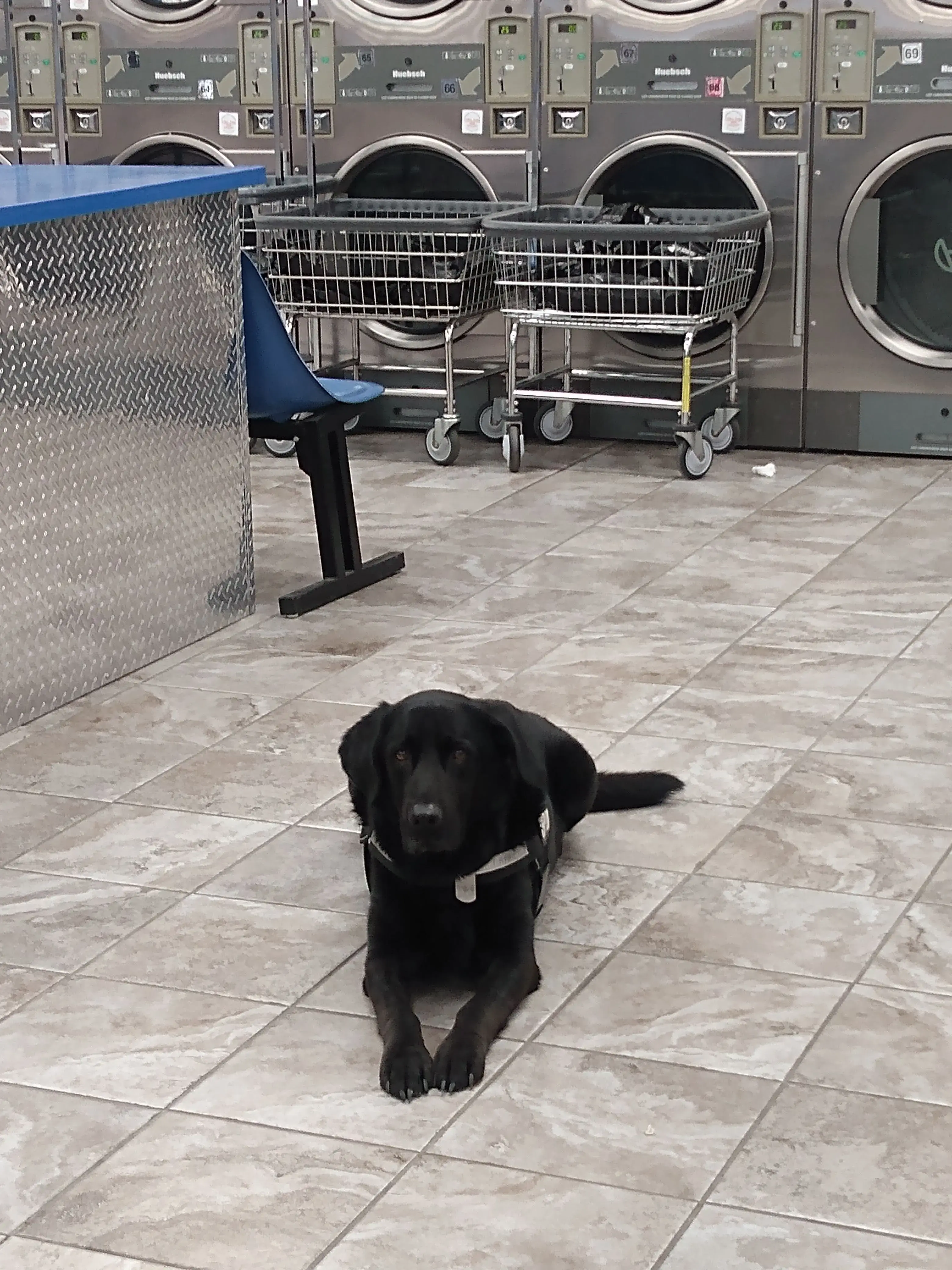 Queen City Laundry - Image 14