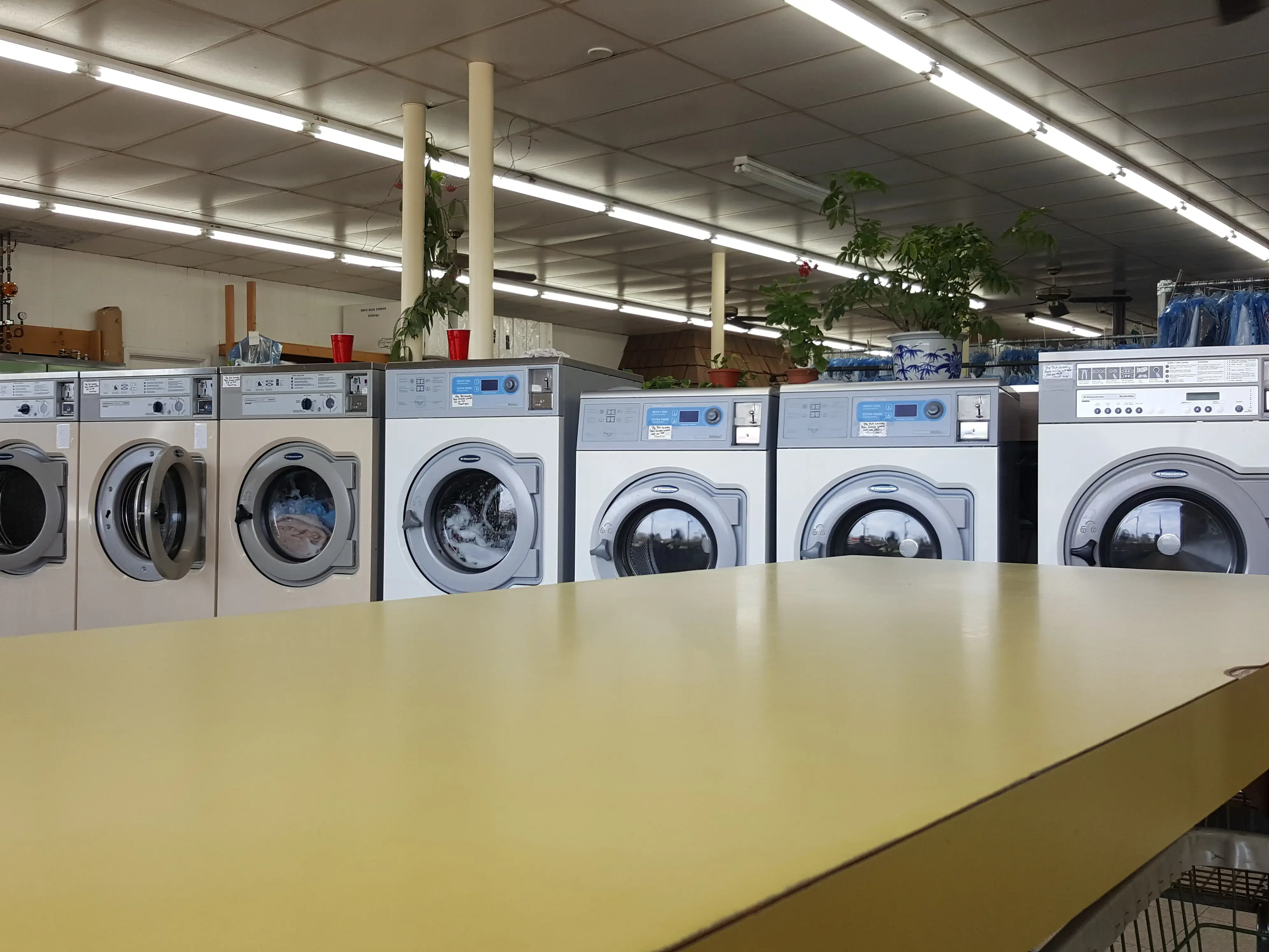 Queens Dry Cleaners & Laundromats location
