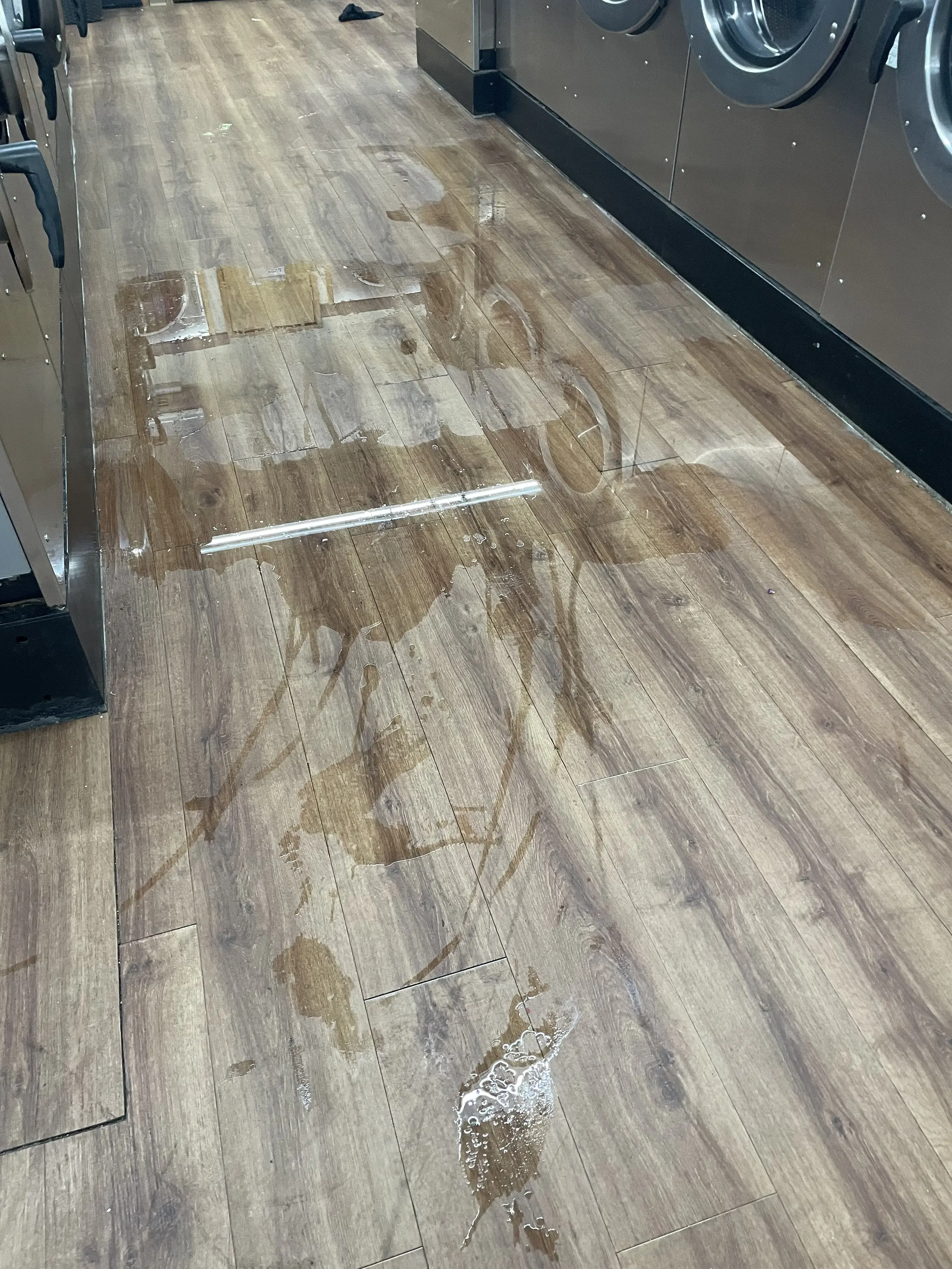 Rain City Laundry - Image 19