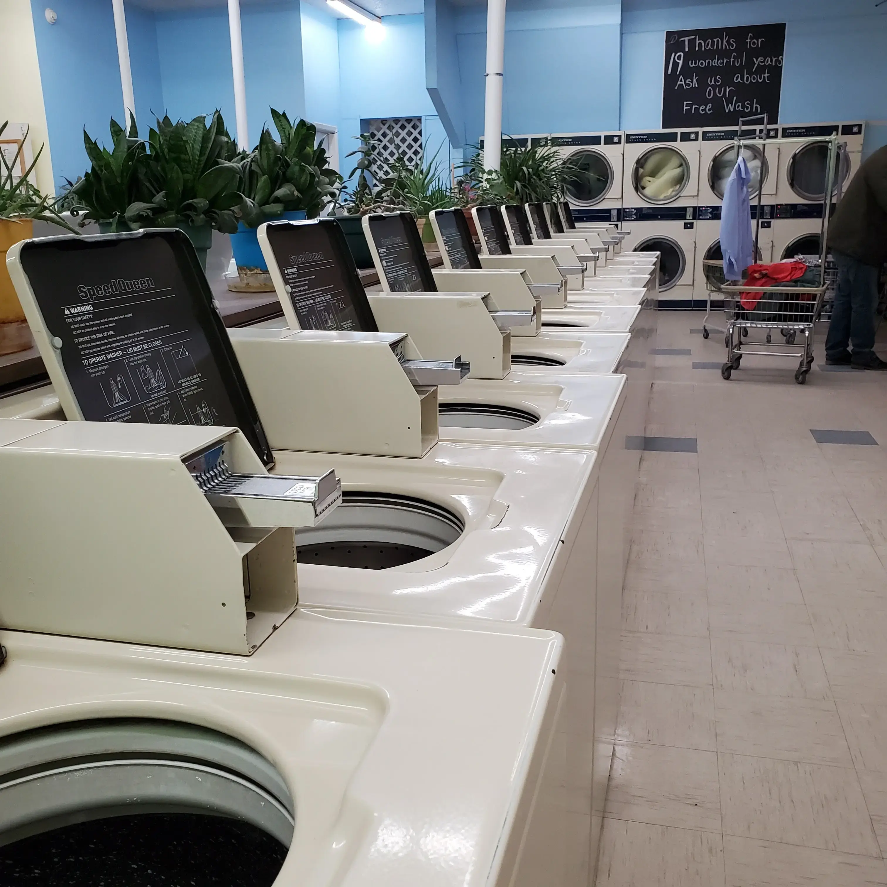 Rainbow Laundromat thumbnail 20