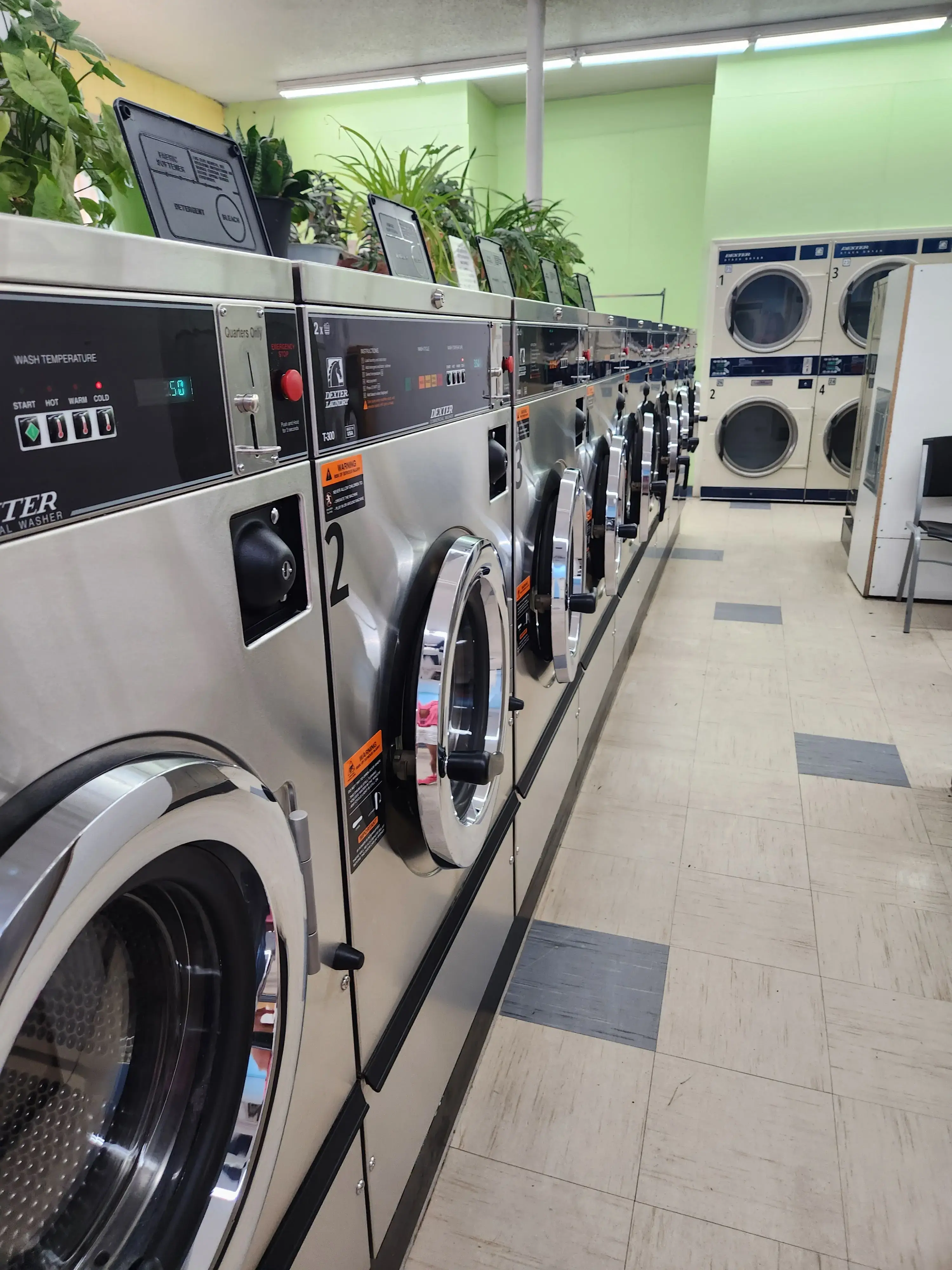 Rainbow Laundromat thumbnail 5