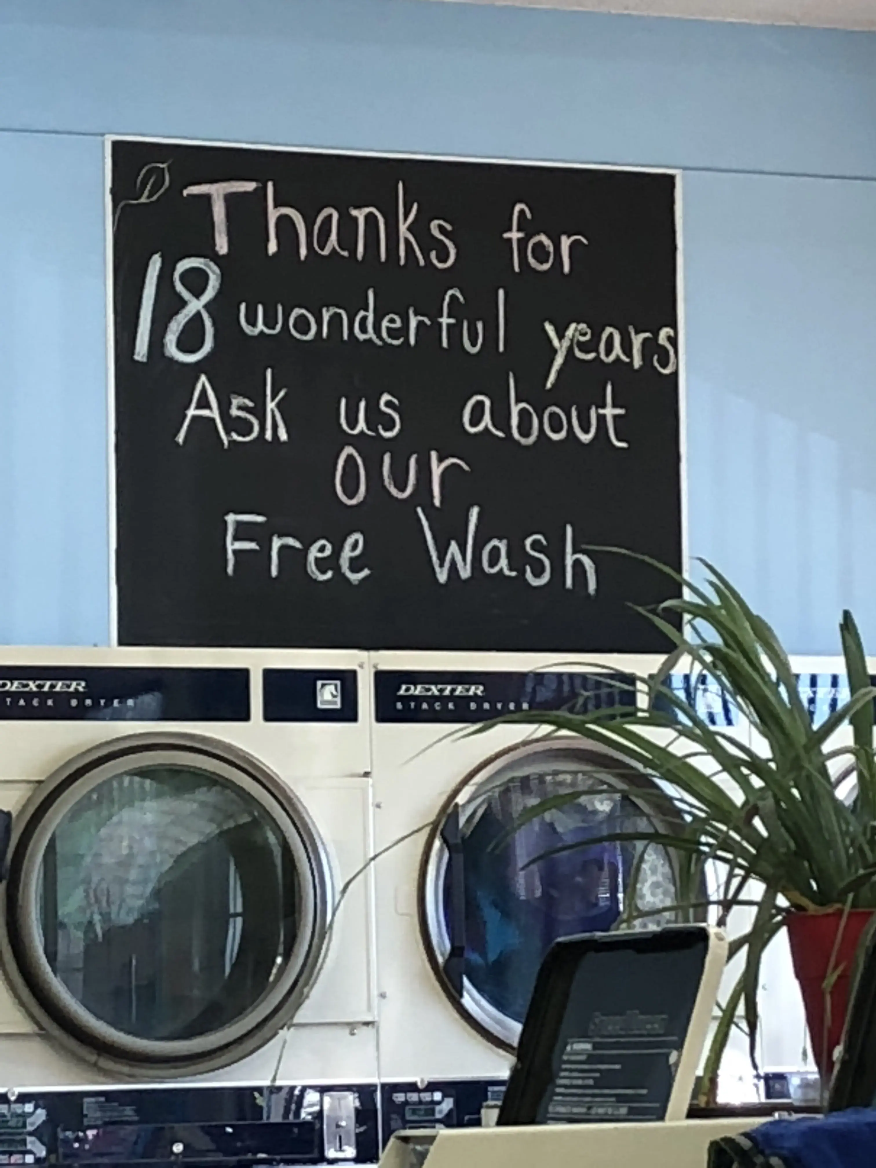 Rainbow Laundromat - Image 19