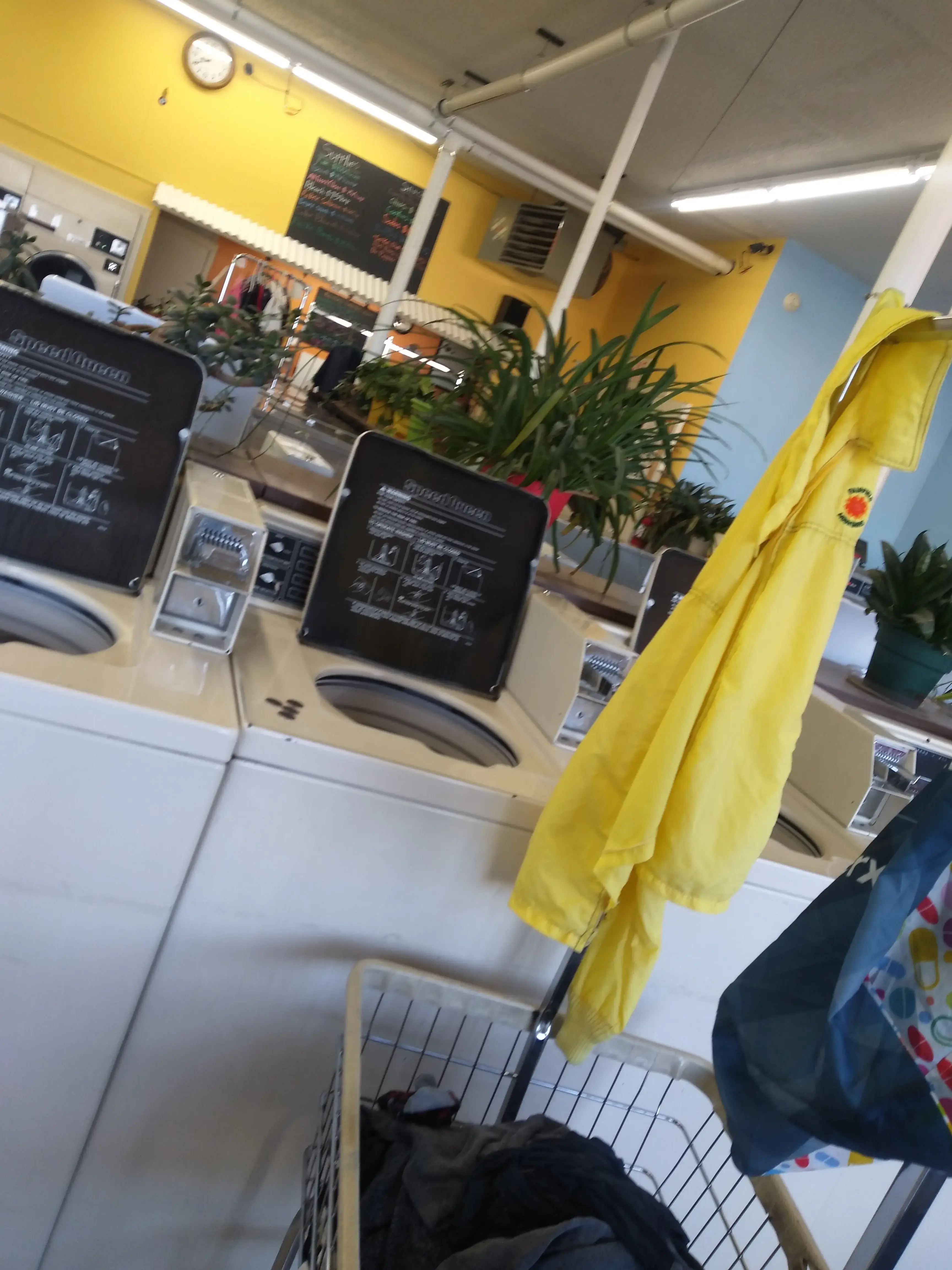Rainbow Laundromat - Image 6