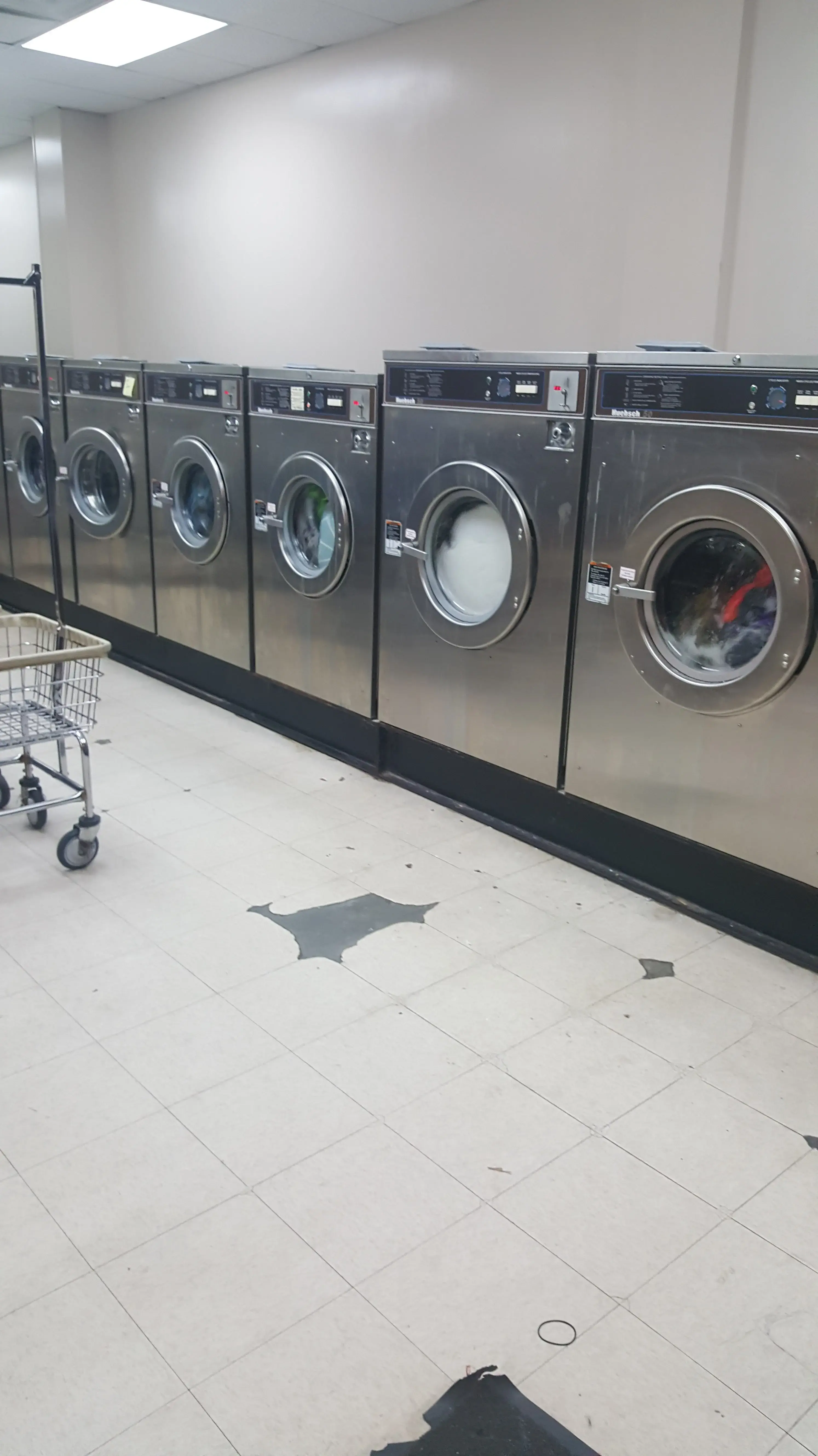 Rainbow Maytag Coin Laundry thumbnail 13