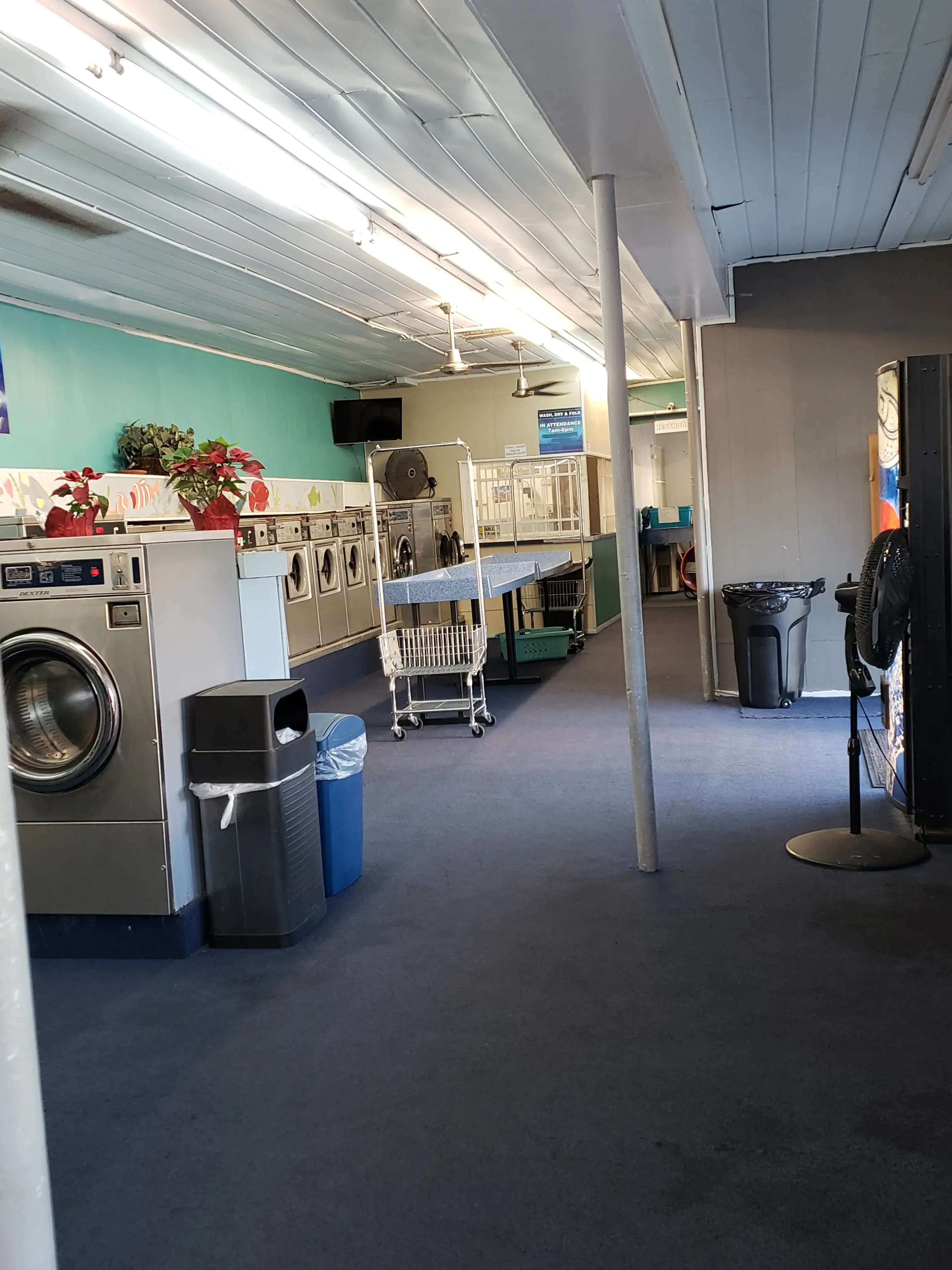 Ray's Laundromat thumbnail 15