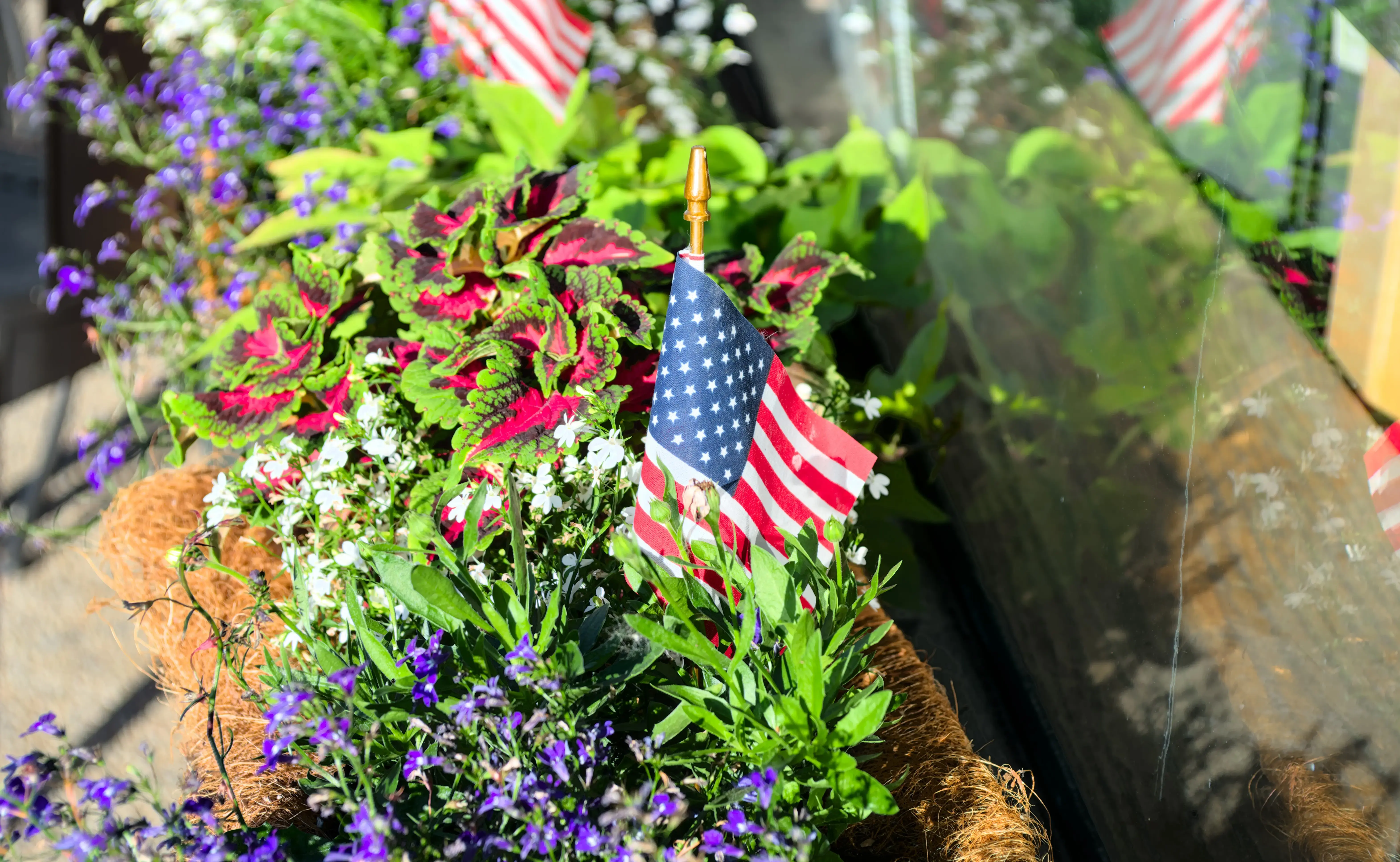 Read's Dry Cleaners - Image 7