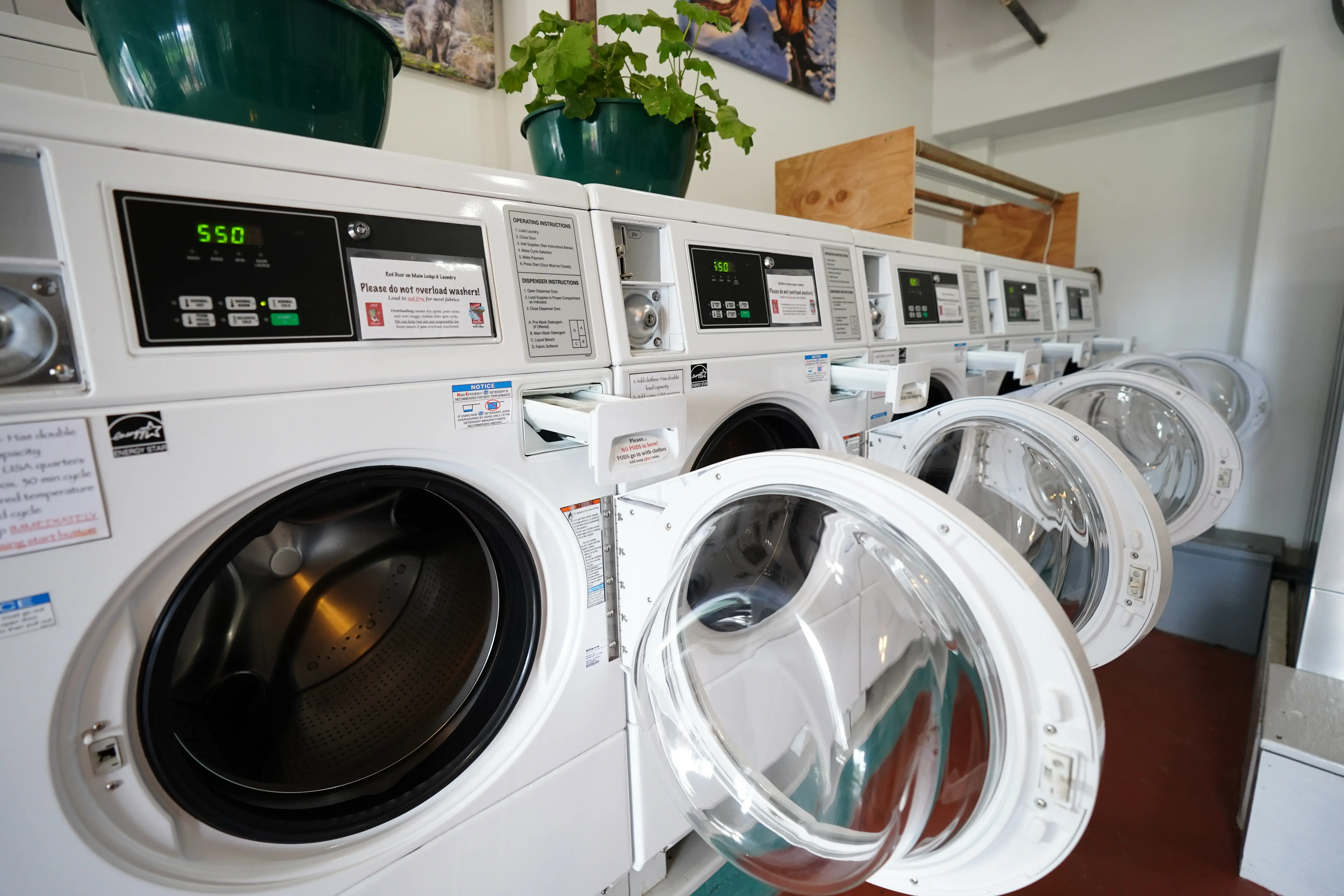 Red Door Laundry - Image 12