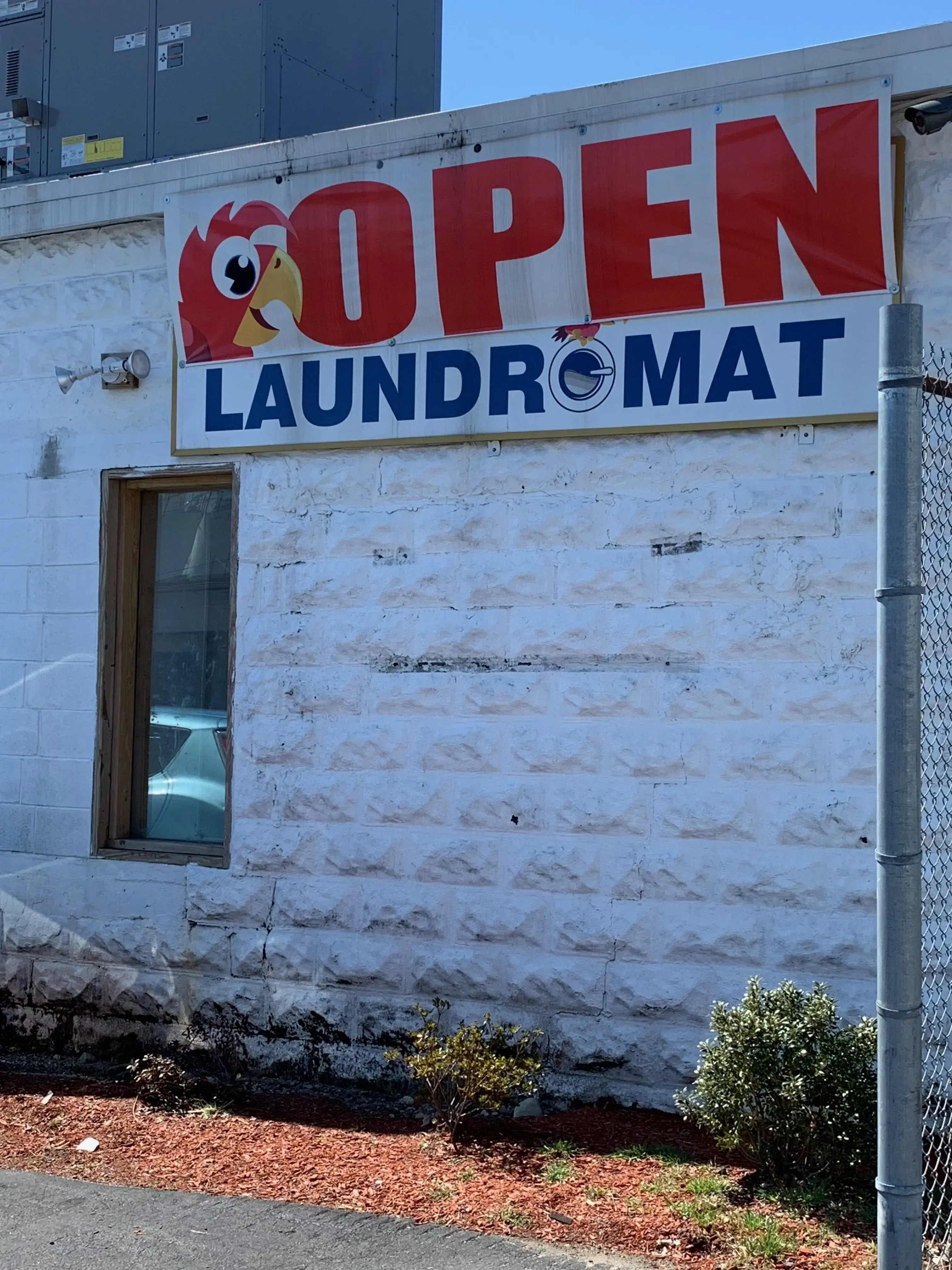 Red Parrot Laundromat - Image 12