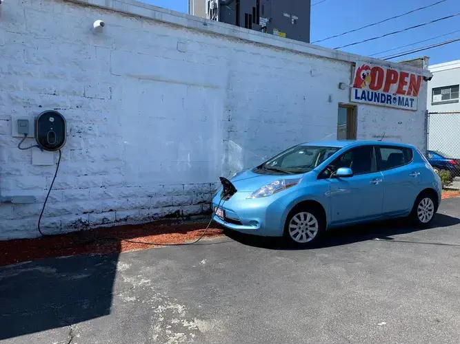 Red Parrot Laundromat - Image 3