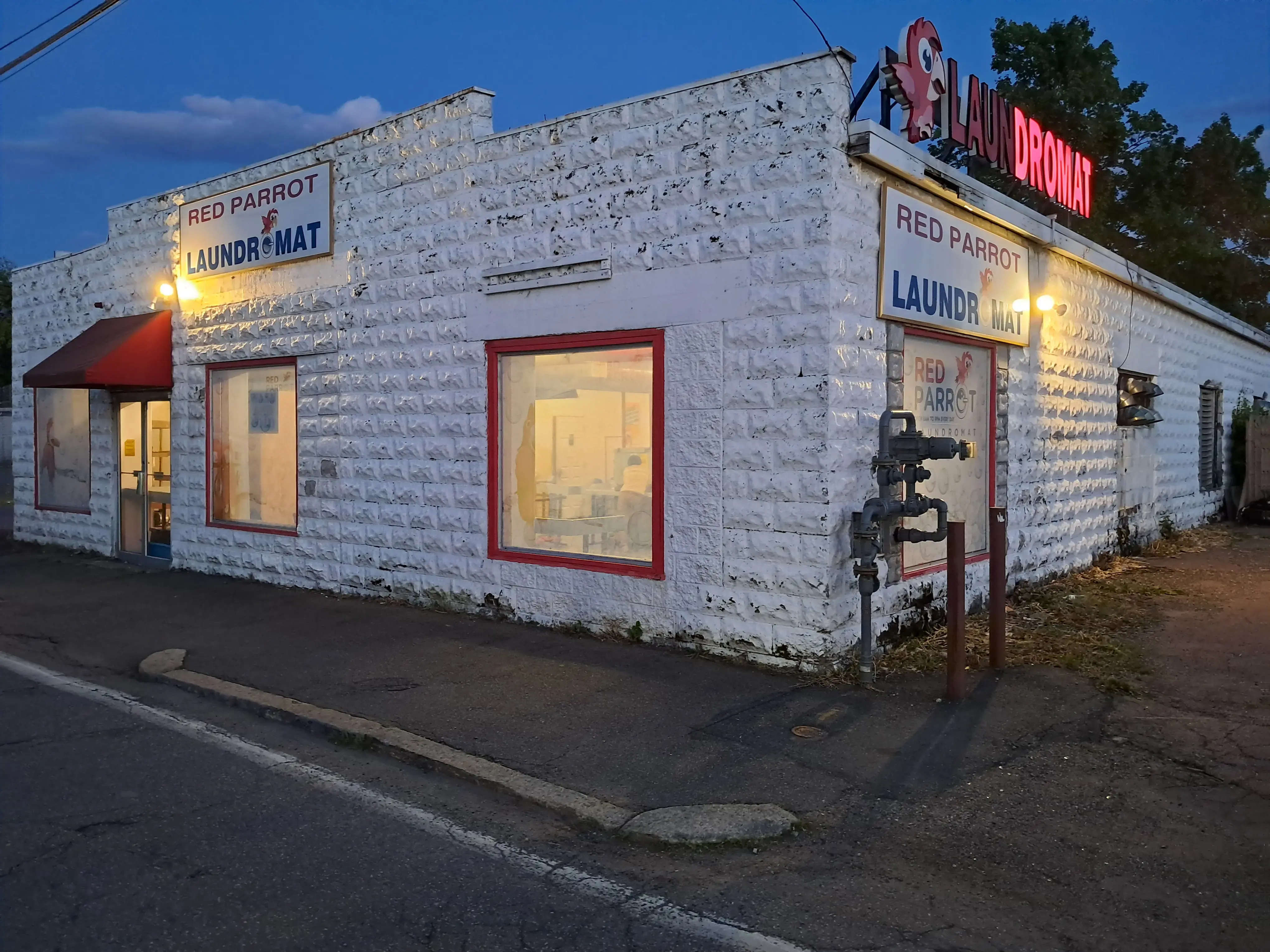 Red Parrot Laundromat thumbnail 16