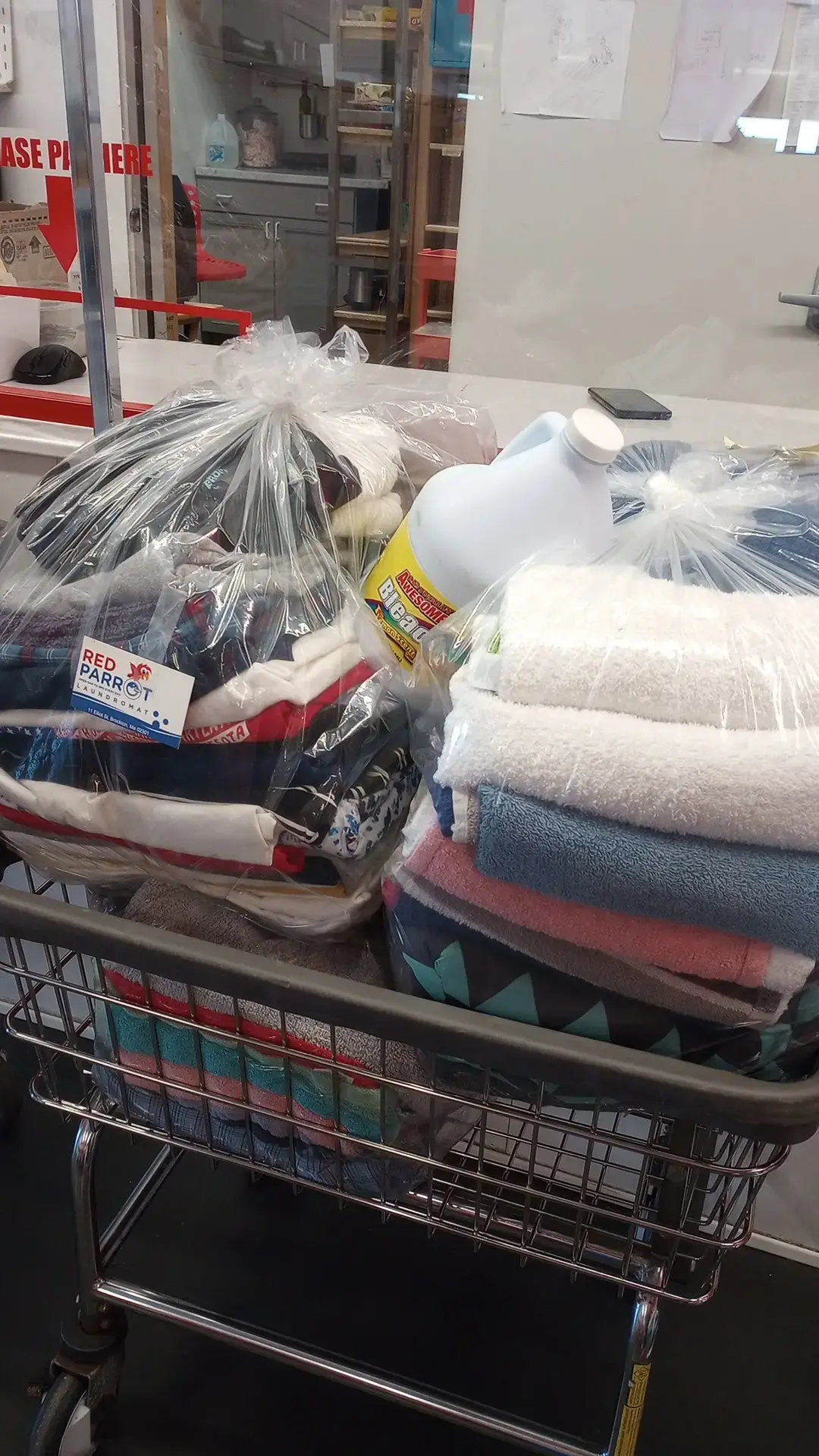 Red Parrot Laundromat - Image 6