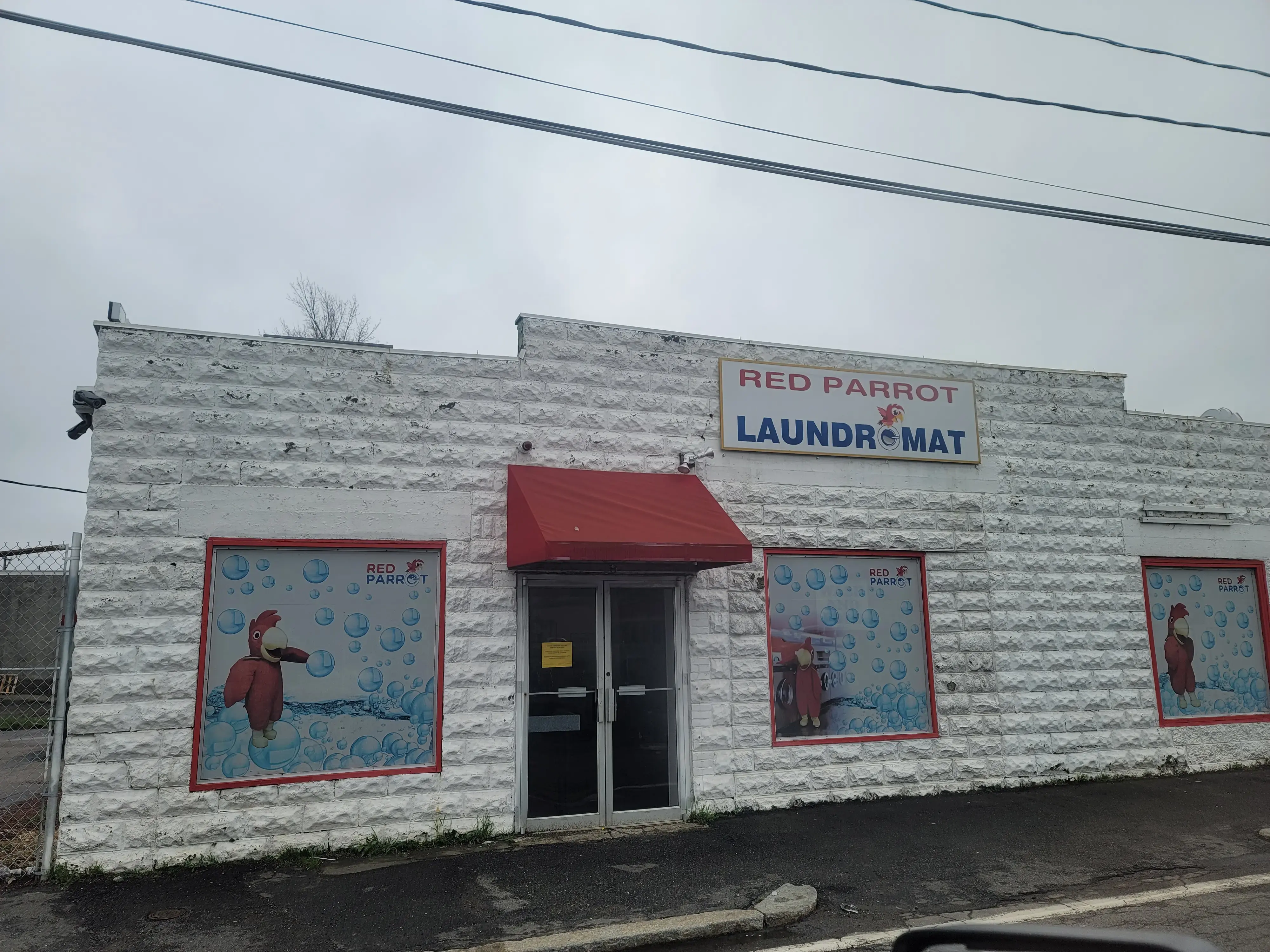 Red Parrot Laundromat thumbnail 14