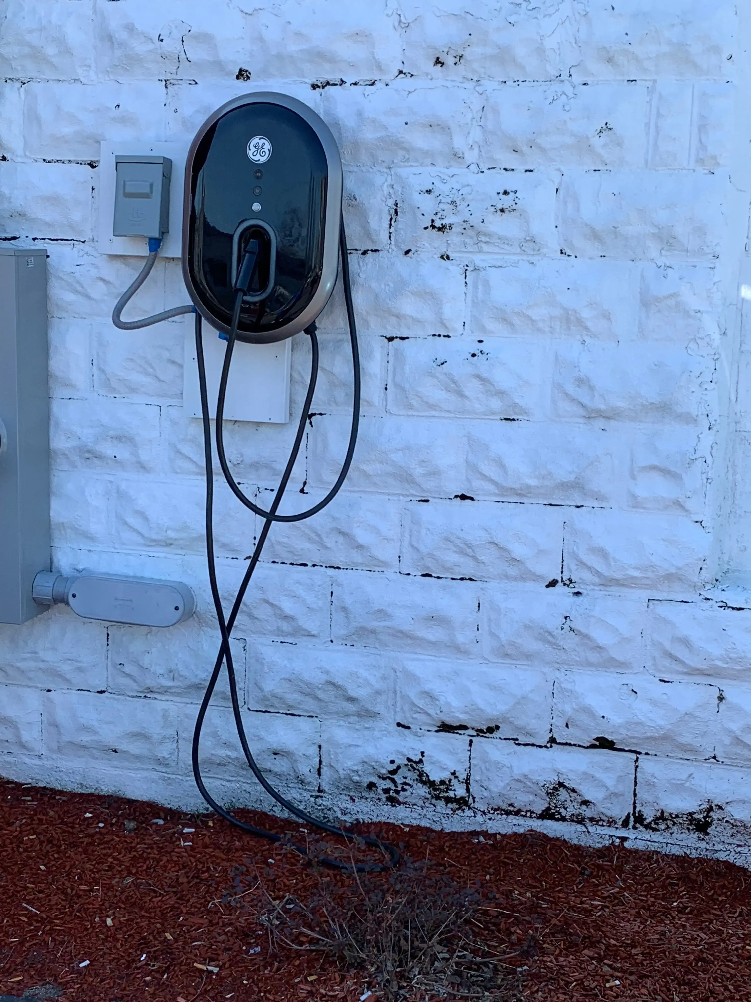 Red Parrot Laundromat thumbnail 7