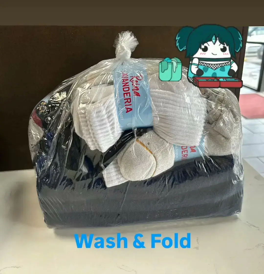 Reina Lavanderia - Image 9