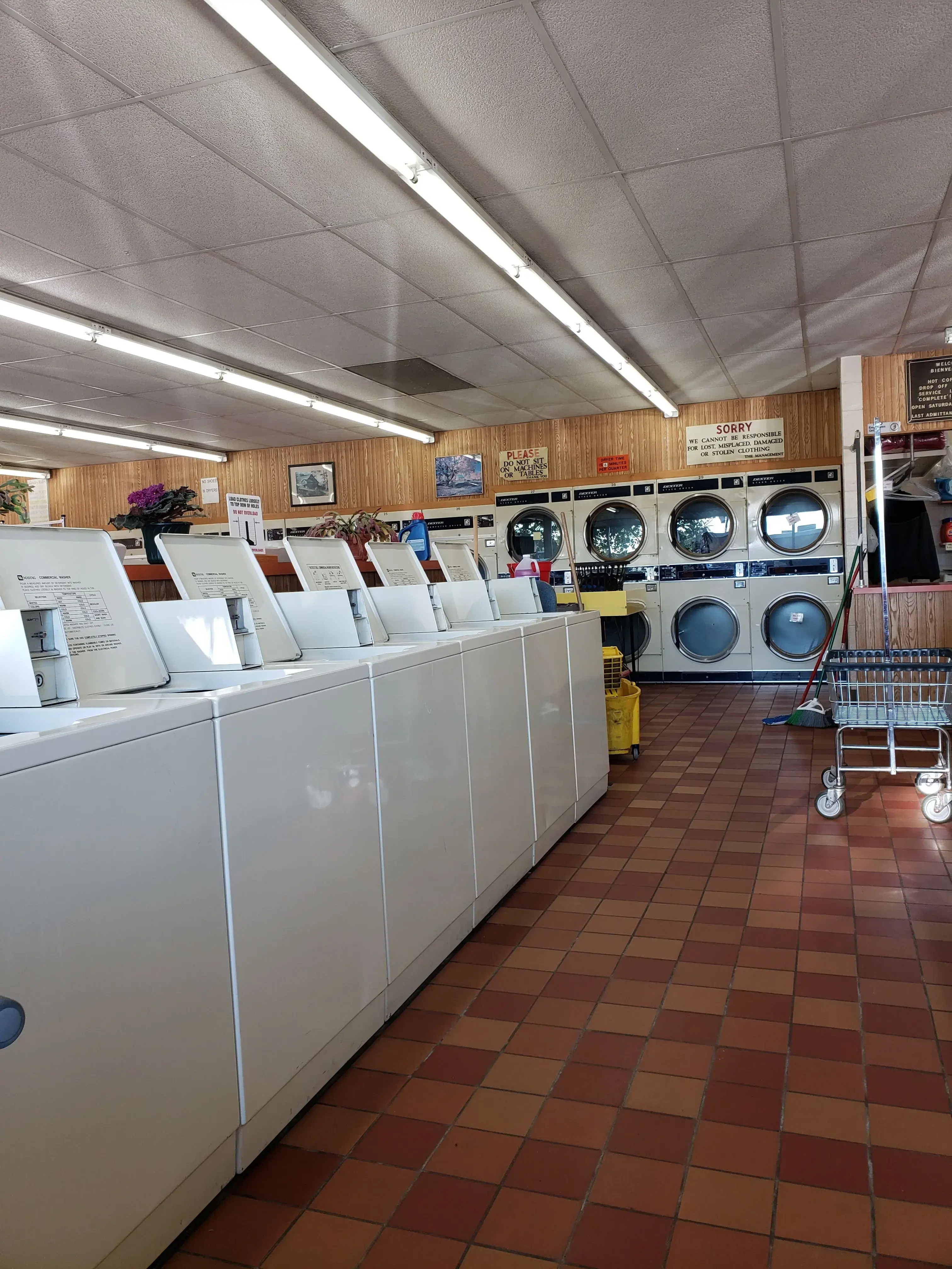 REJUV Laundromat - Michigan Street - Image 4