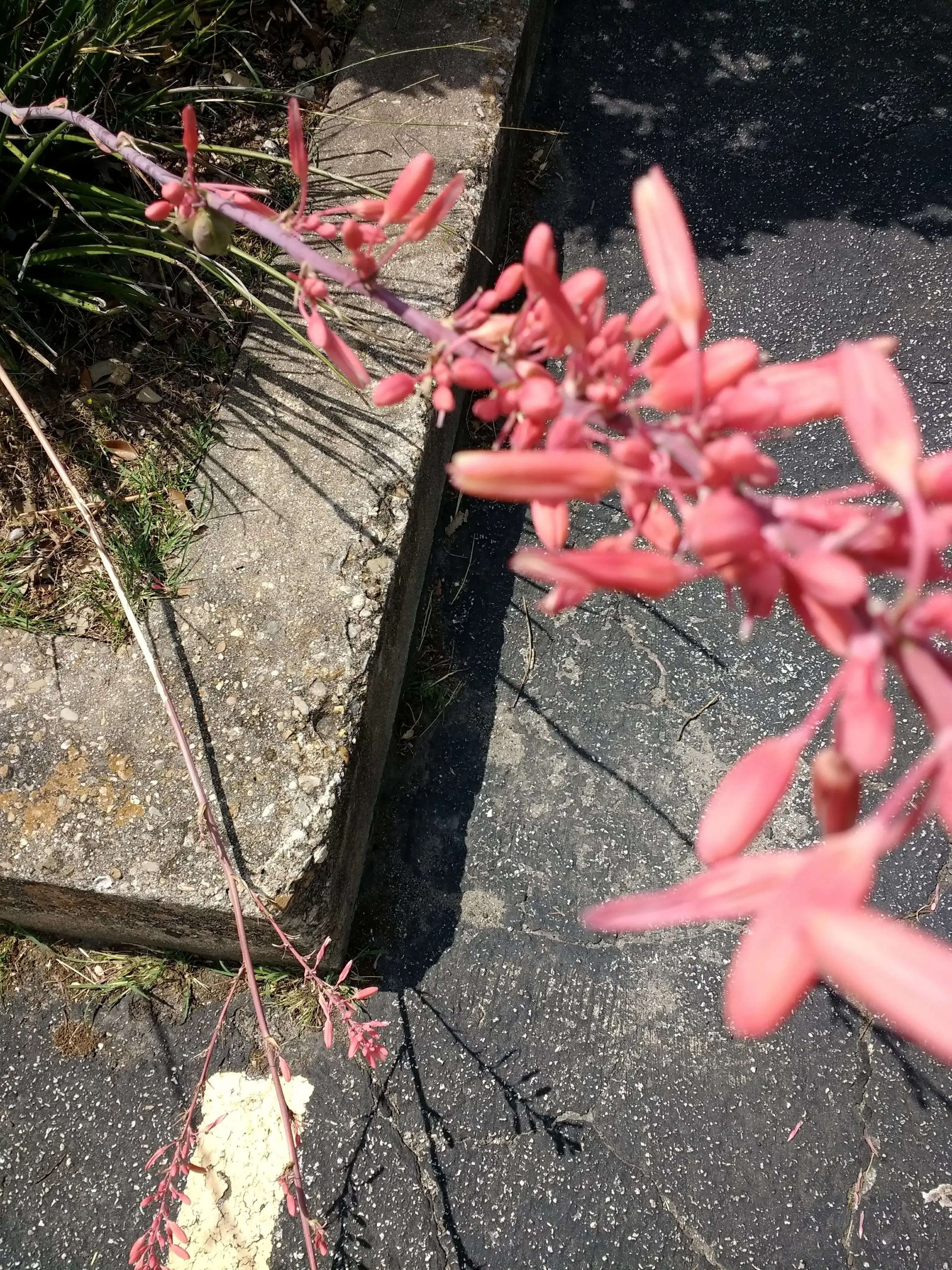 Rick's Cleaners thumbnail 10