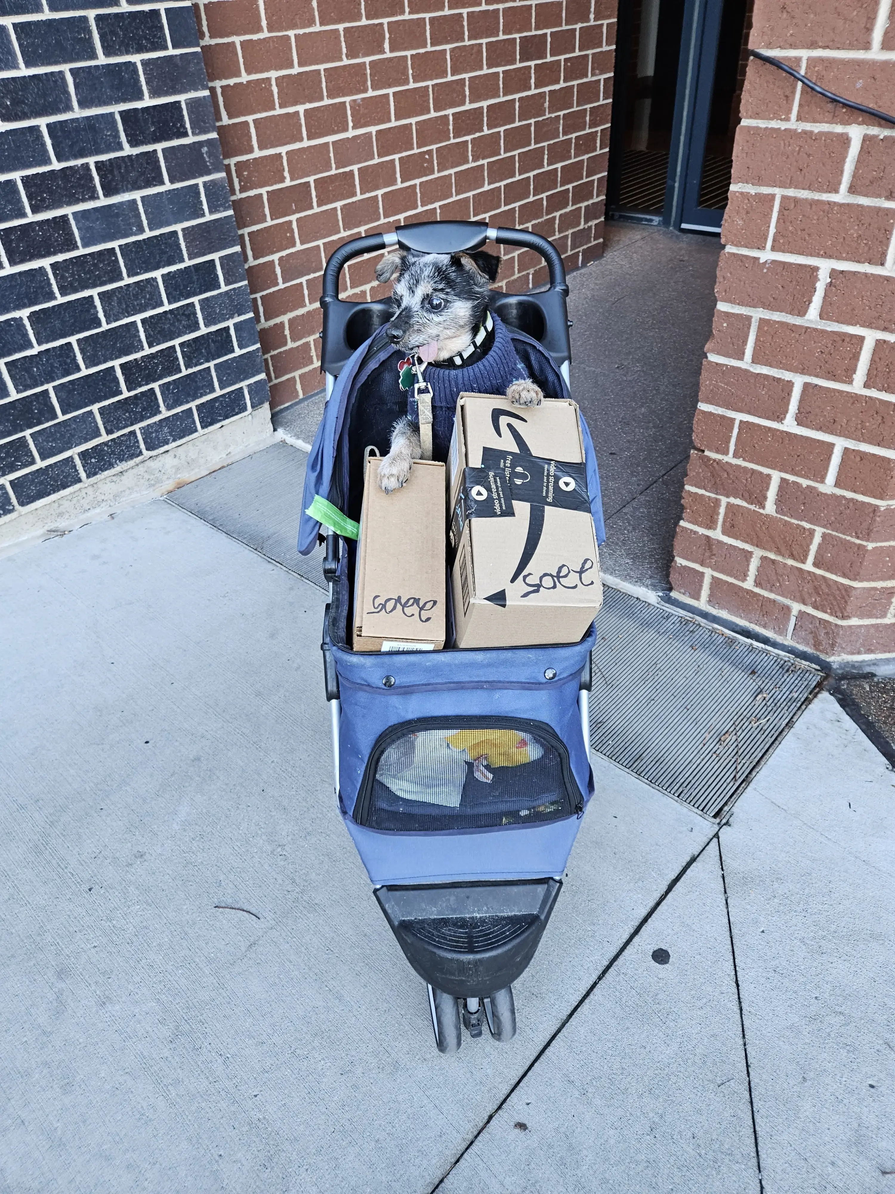 Rinse - Laundry & Dry Cleaning Delivery - Image 5